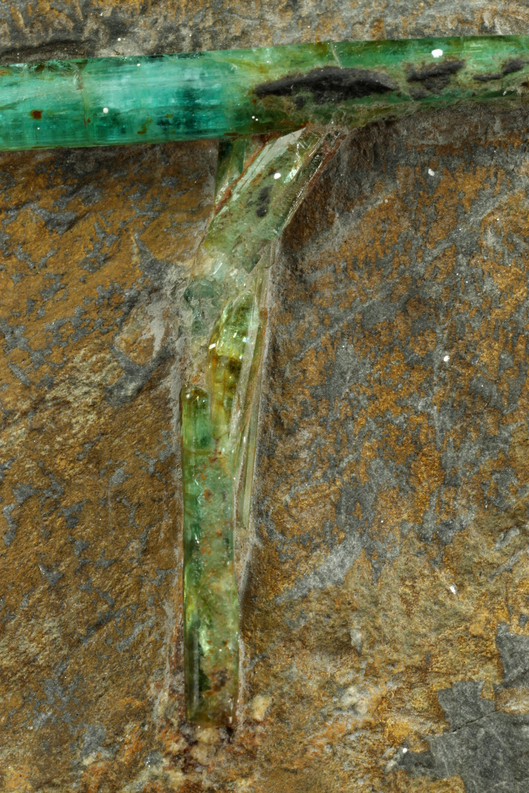 Beryl (variety emerald)
46x78x24mm, longest xl=31mm
(Autor: Fiebre Verde)