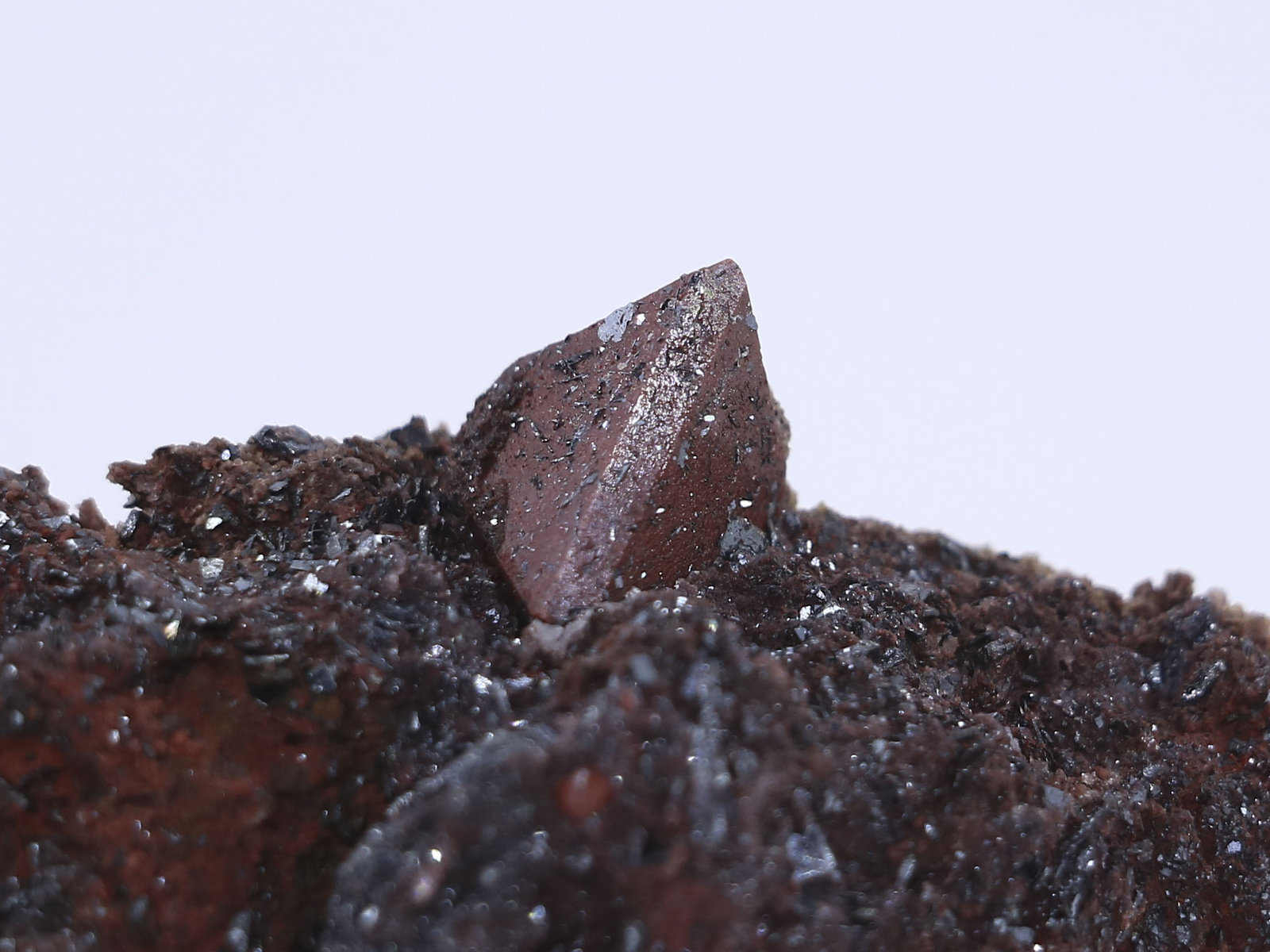 Zunyite
the crystal on matrix is 1 cm
(Autor: Arash Ghafari)