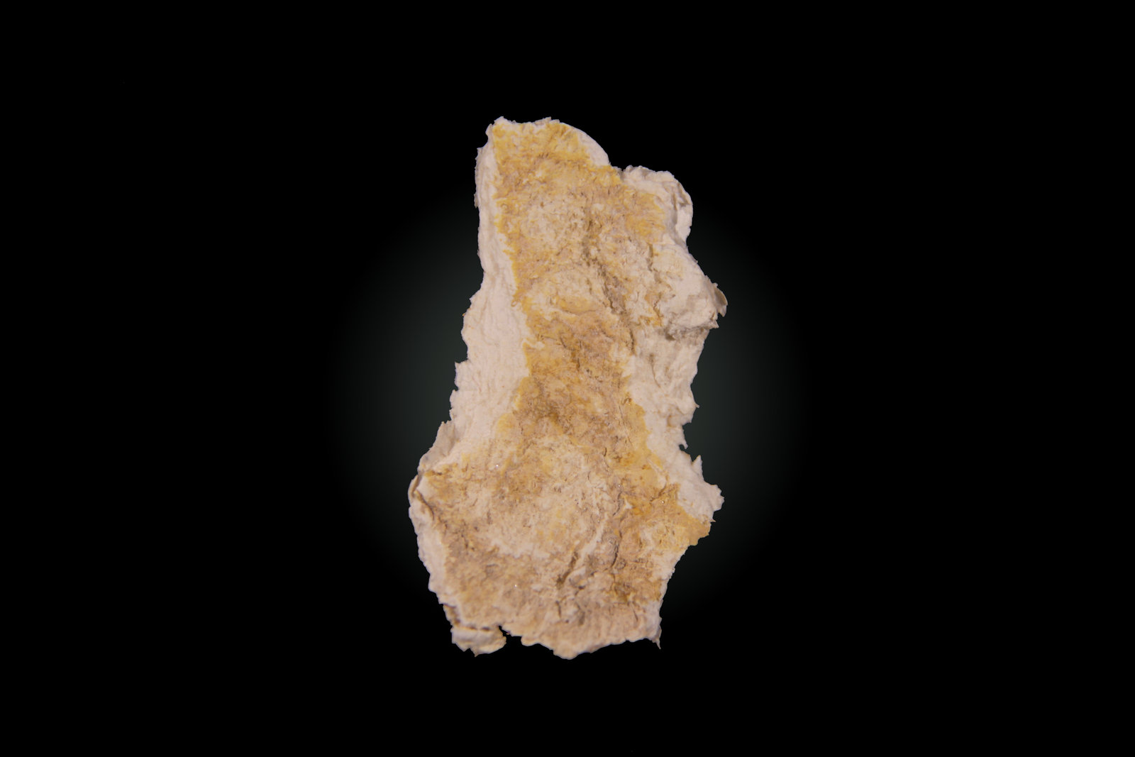 Palygorskite
30mm x 55mm x 2mm
(Autor: Firmo Espinar)