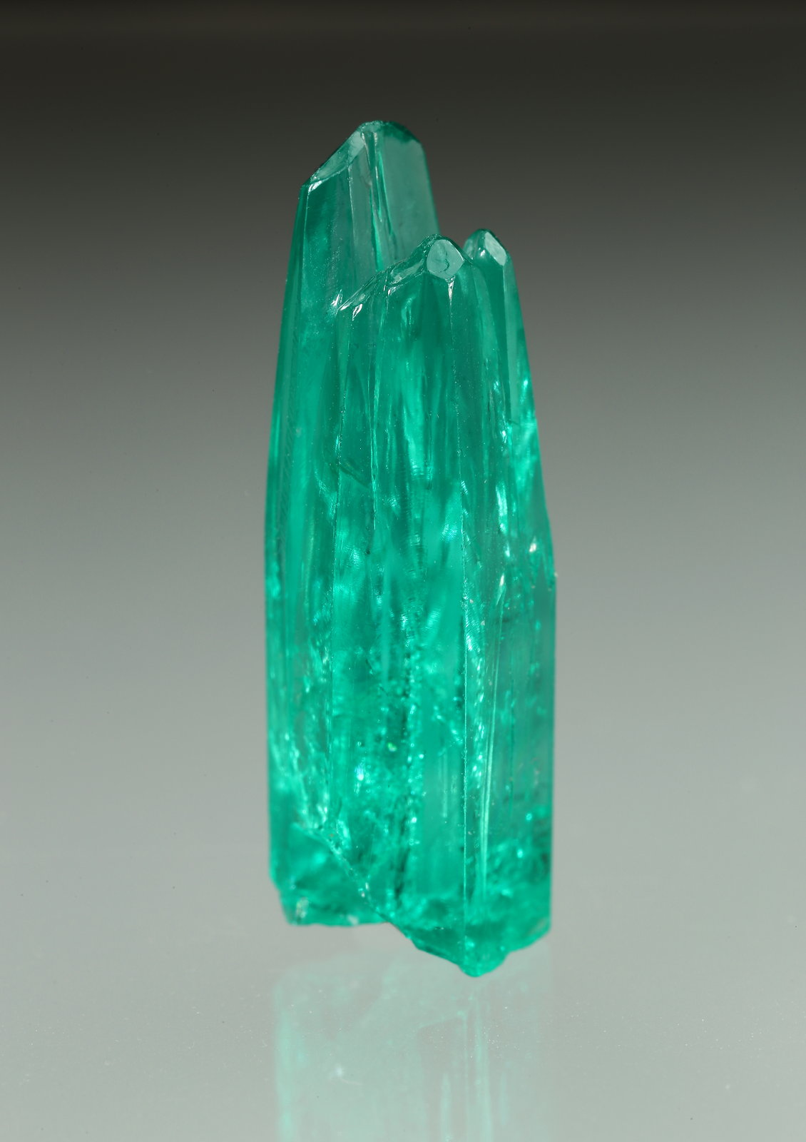 Beryl (variety emerald)
24mm
(Autor: Fiebre Verde)