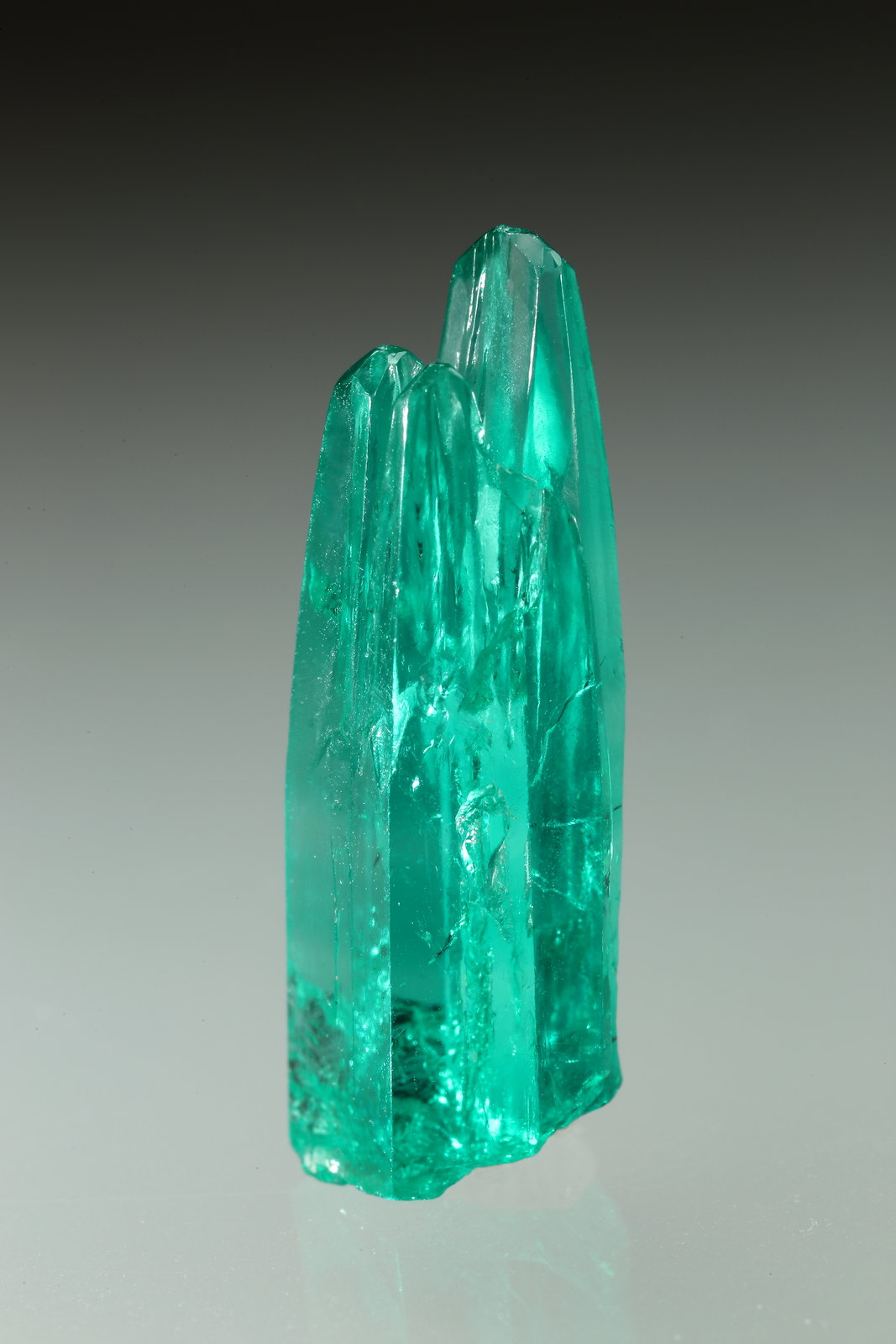 Beryl (variety emerald)
24mm
(Autor: Fiebre Verde)