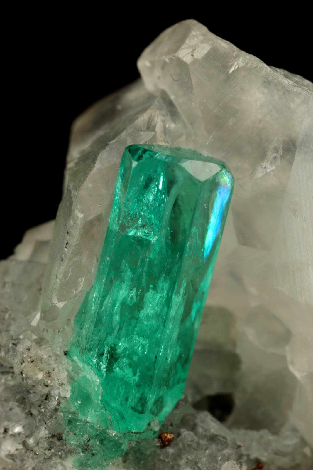 Beryl (variety emerald), Calcite, Pyrite
26x17x30mm, xl=9x2mm
(Autor: Fiebre Verde)