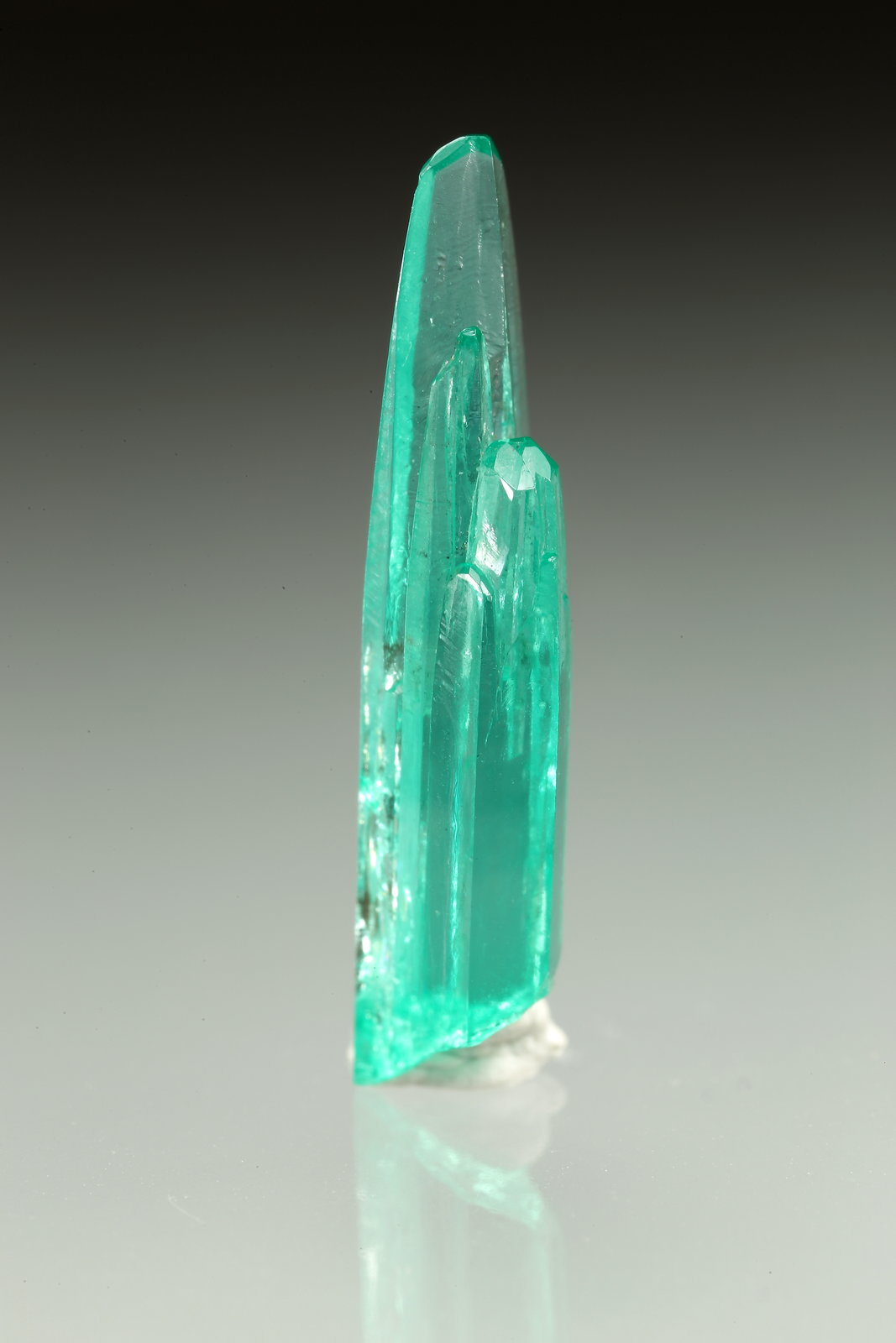 Beryl (variety emerald)
20x5mm
(Autor: Fiebre Verde)