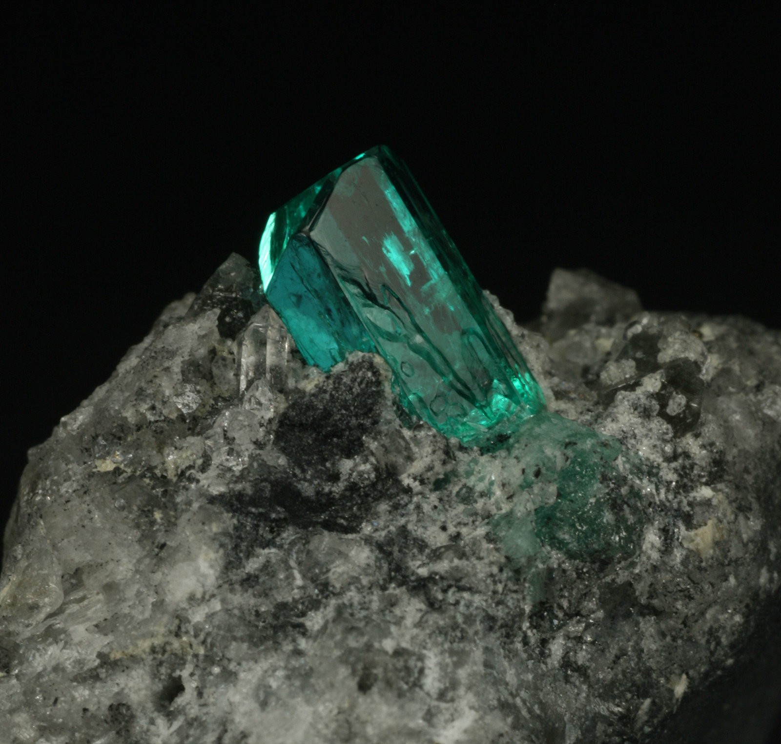 Beryl (variety emerald), Calcite, Pyrite, Quartz
50x20x45mm
(Autor: Fiebre Verde)