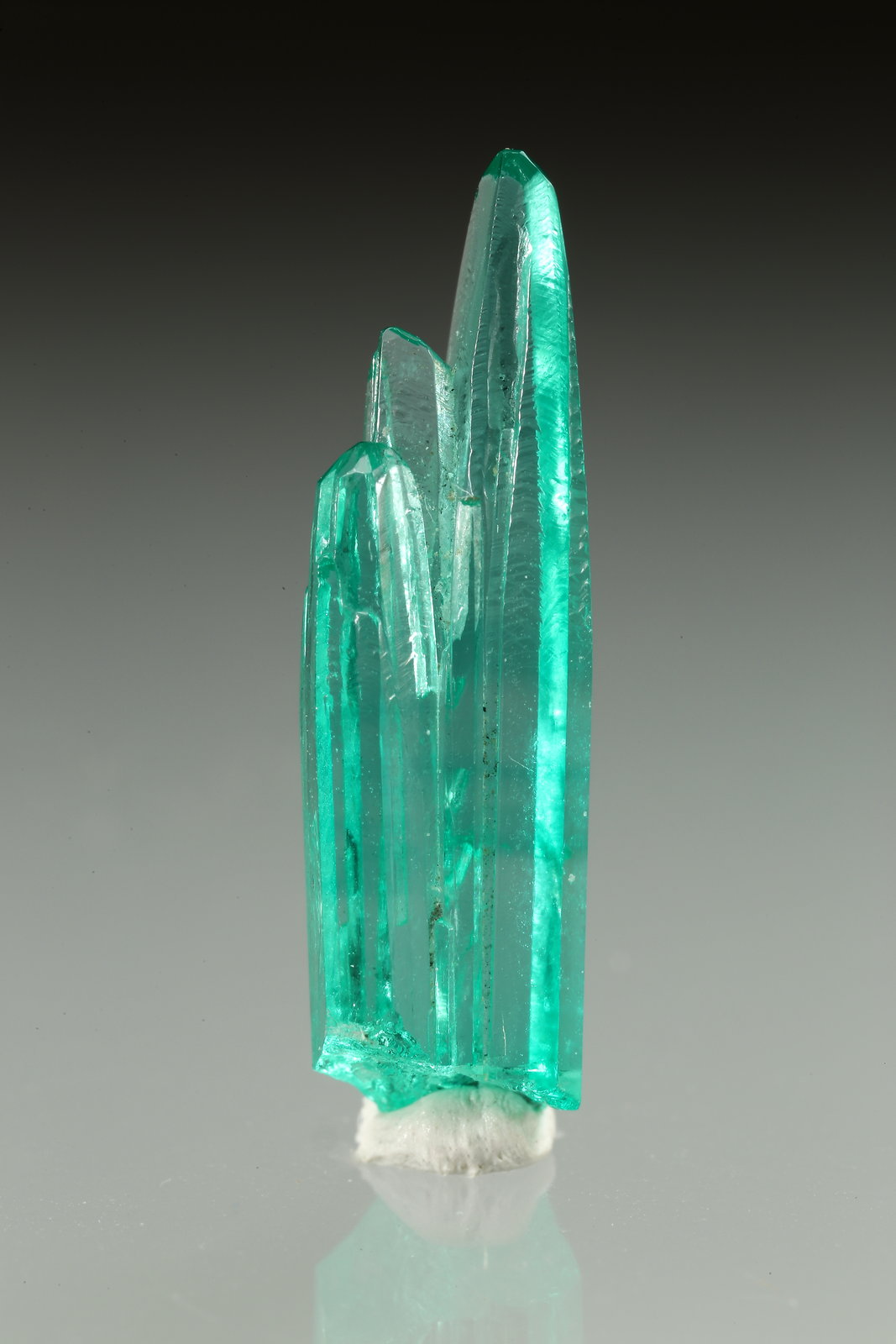 Beryl (variety emerald)
20x5mm
(Autor: Fiebre Verde)