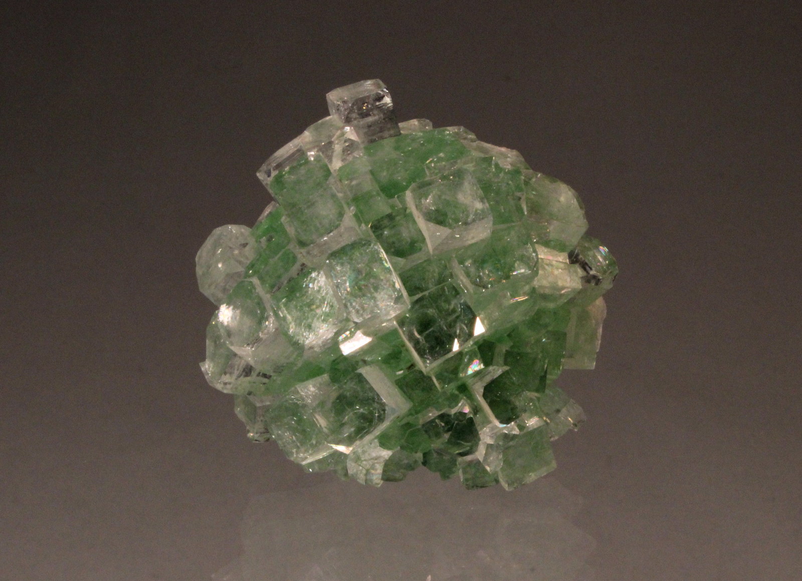 Fluorapophyllite-(K)
55mm x 52mm x 37mm
(Autor: Don Lum)