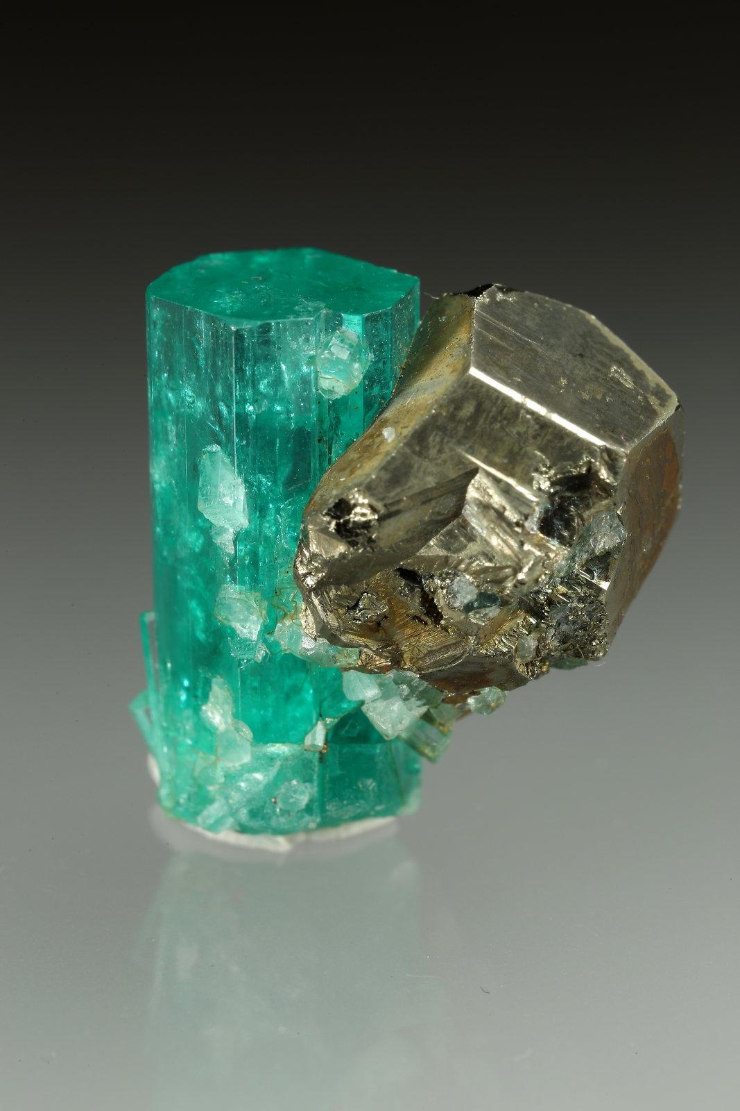 Beryl (variety emerald), Pyrite
xl=19x7.5mm
(Autor: Fiebre Verde)