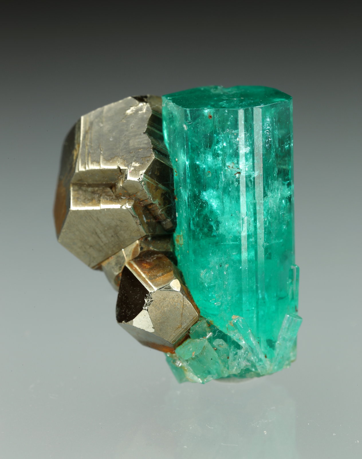 Beryl (variety emerald), Pyrite
xl=19x7.5mm
(Autor: Fiebre Verde)