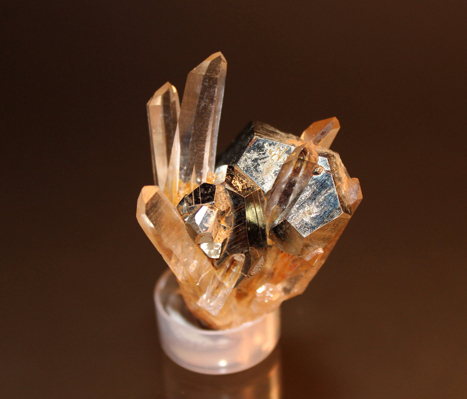 Pyrite, Quartz
60mm x 41mm x 38mm
(Autor: Don Lum)
