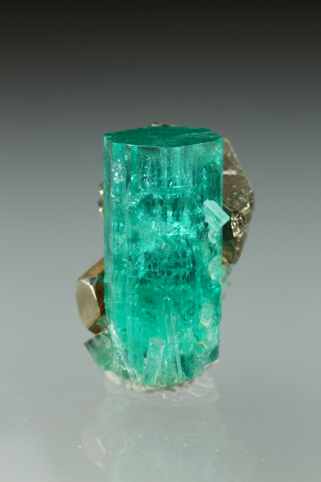 Beryl (variety emerald), Pyrite
xl=19x7.5mm
(Autor: Fiebre Verde)