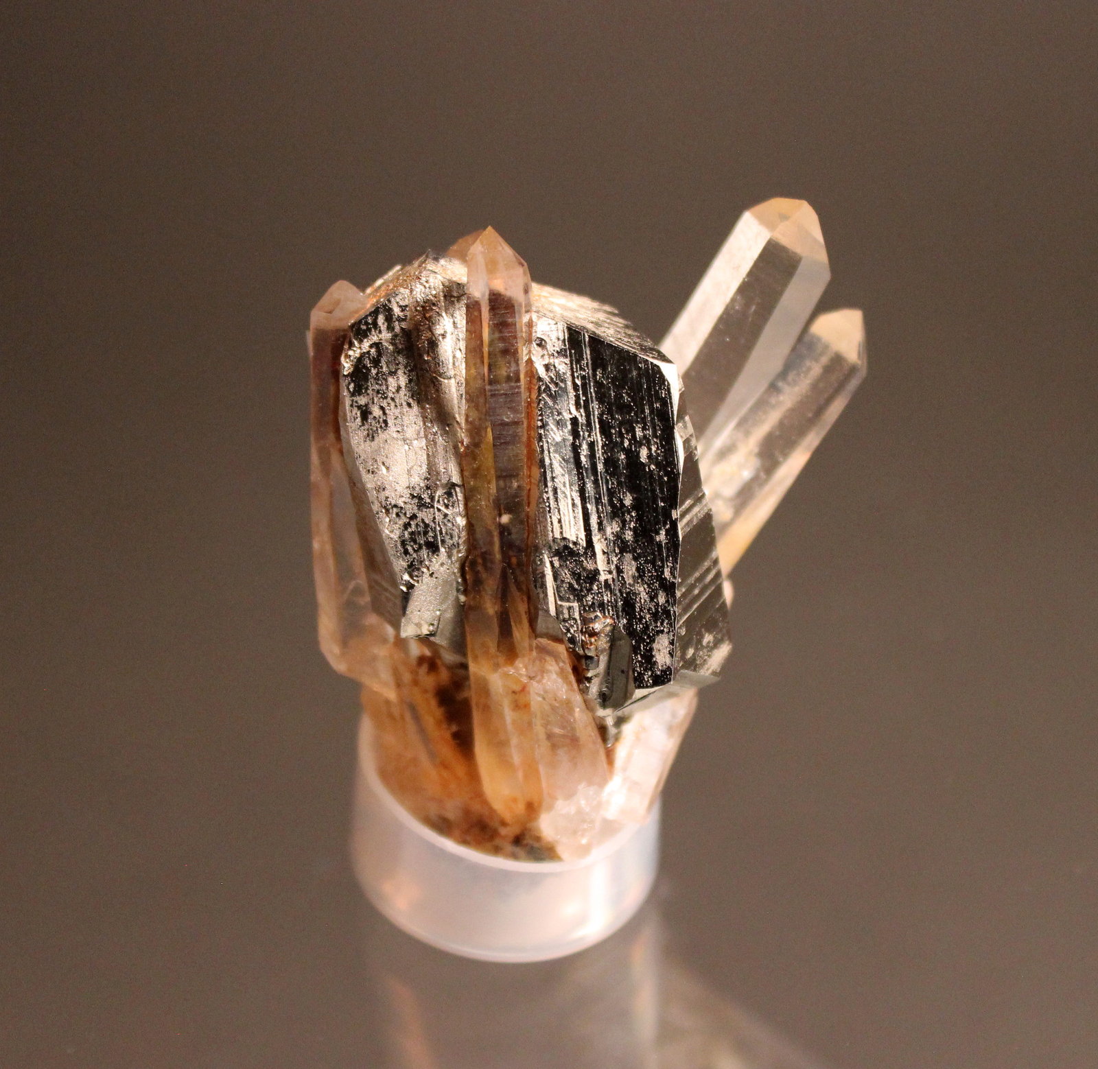 Pyrite, Quartz
60mm x 41mm x 38mm
(Autor: Don Lum)