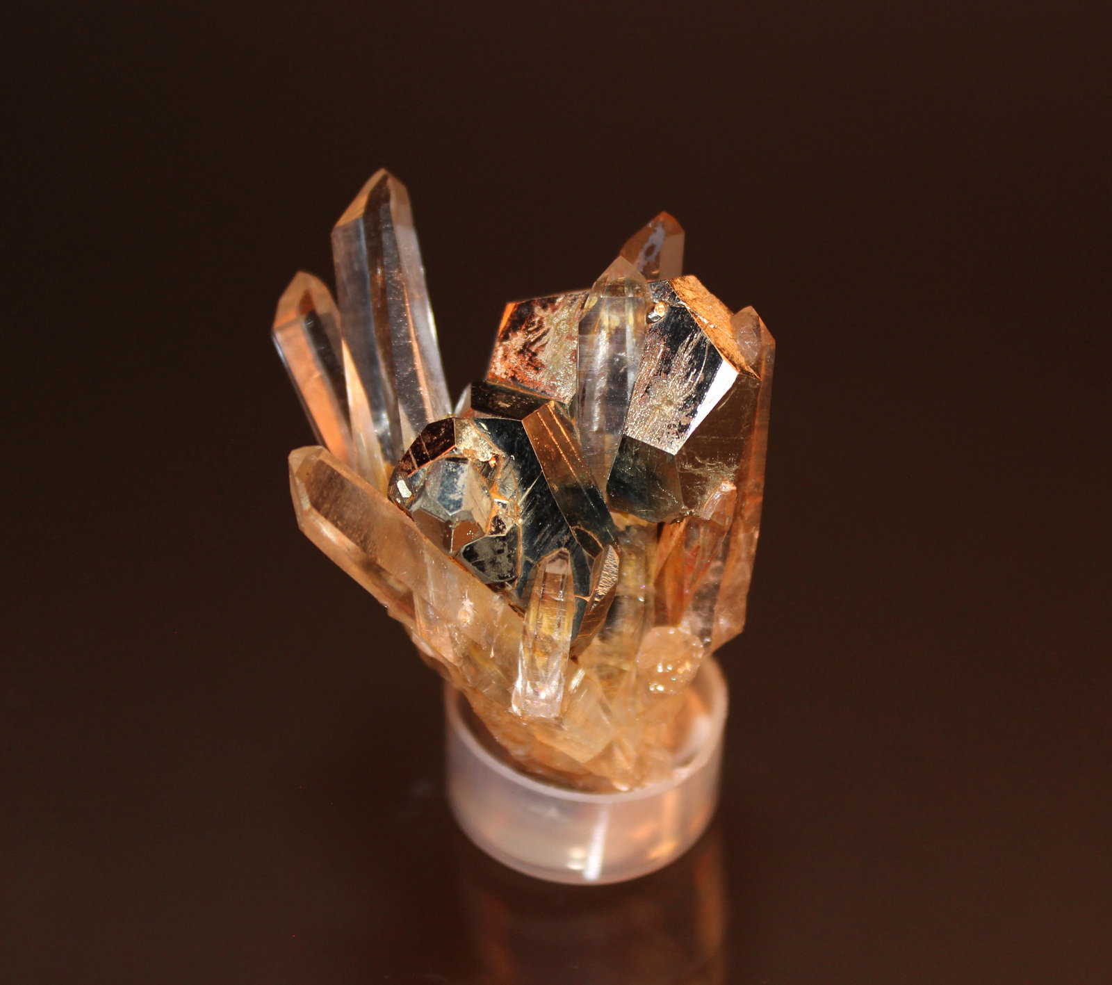 Pyrite, Quartz
60mm x 41mm x 38mm
(Autor: Don Lum)