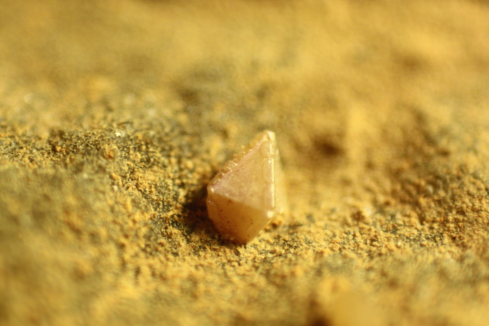 Wulfenite
FOV = 11 mm.
(Autor: Firmo Espinar)