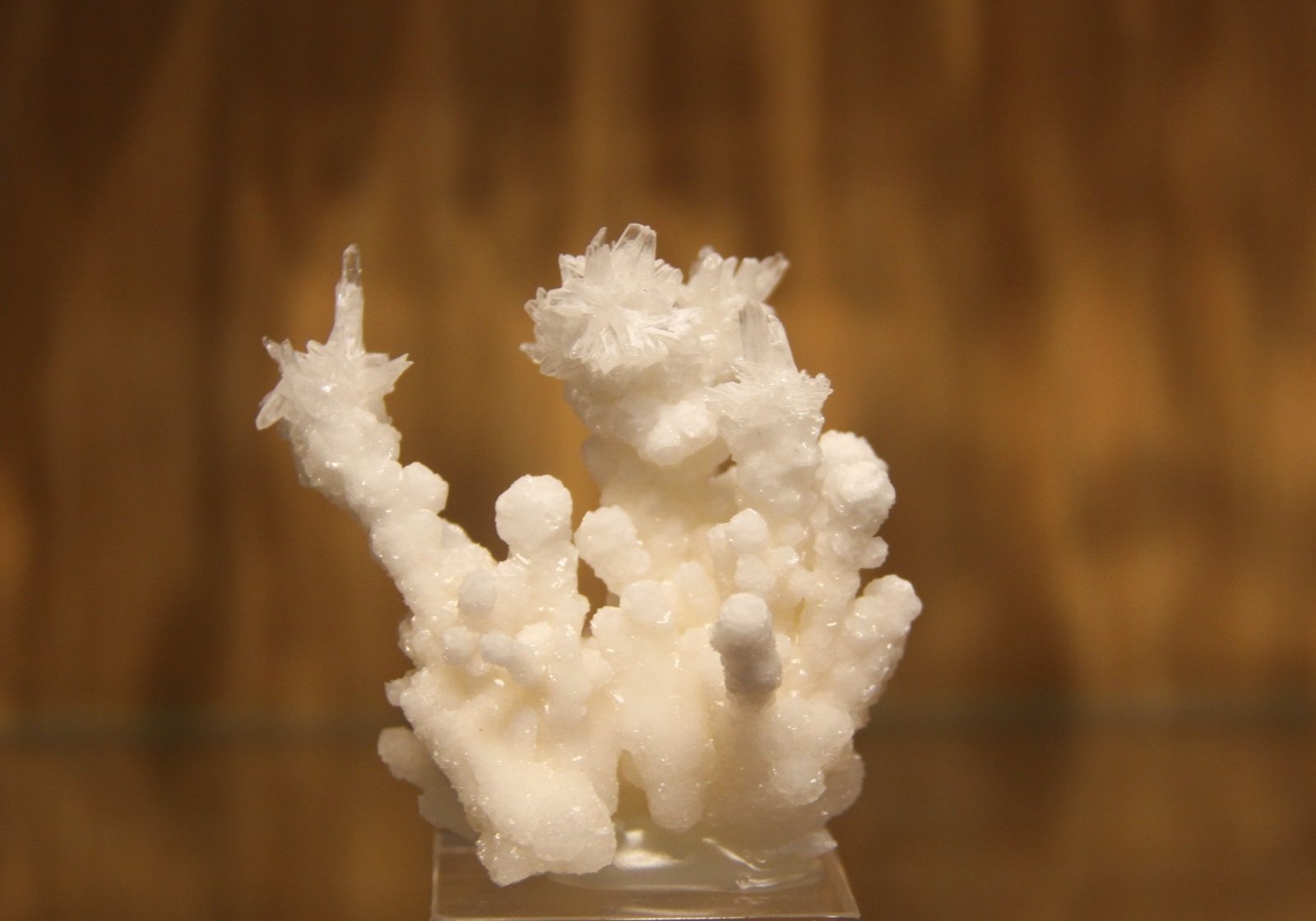 Aragonite
47mm x 50mm x 33mm
(Autor: Firmo Espinar)