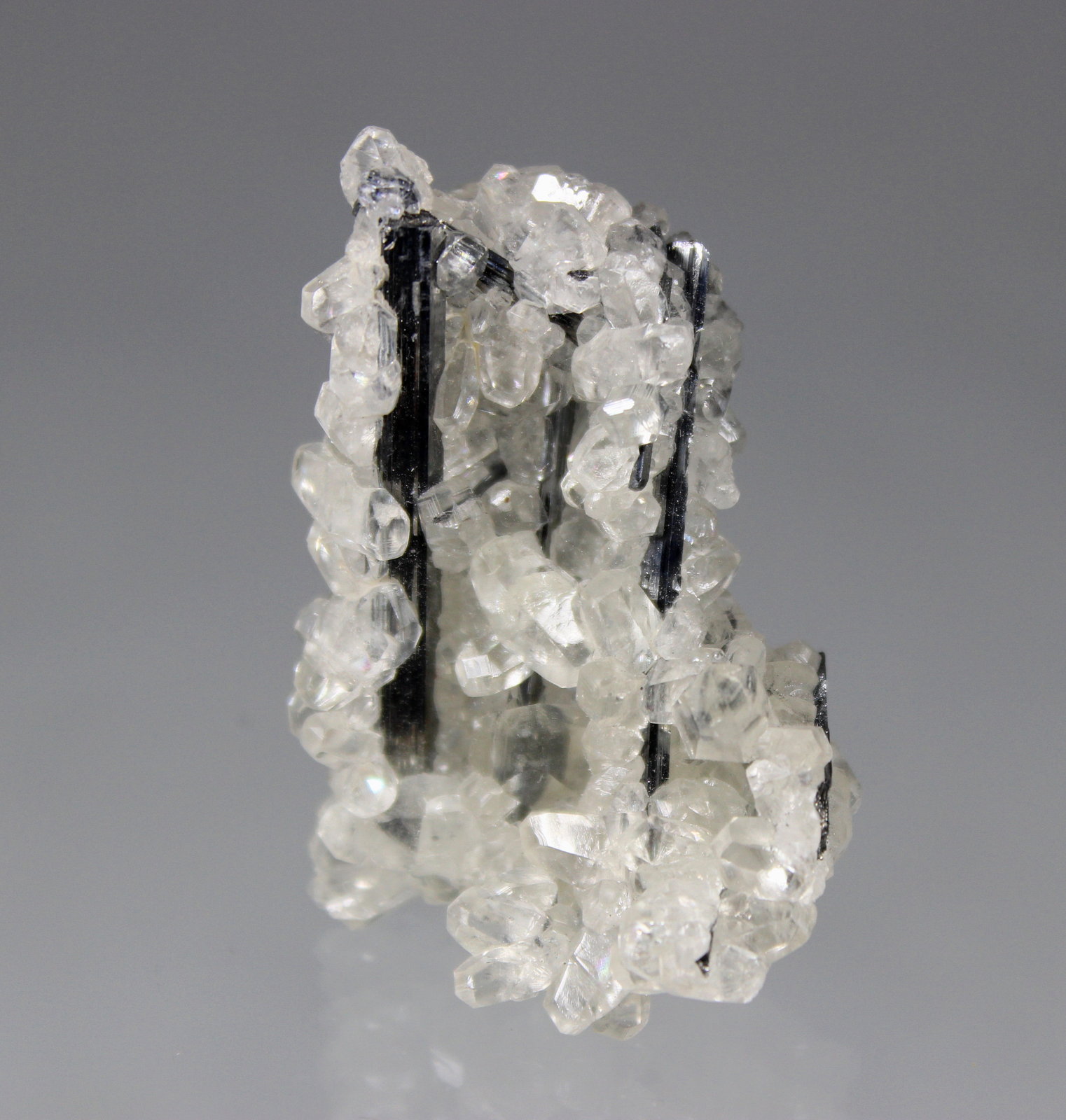 Stibnite, Calcite
56mm x 37mm x 30mm
(Autor: Don Lum)