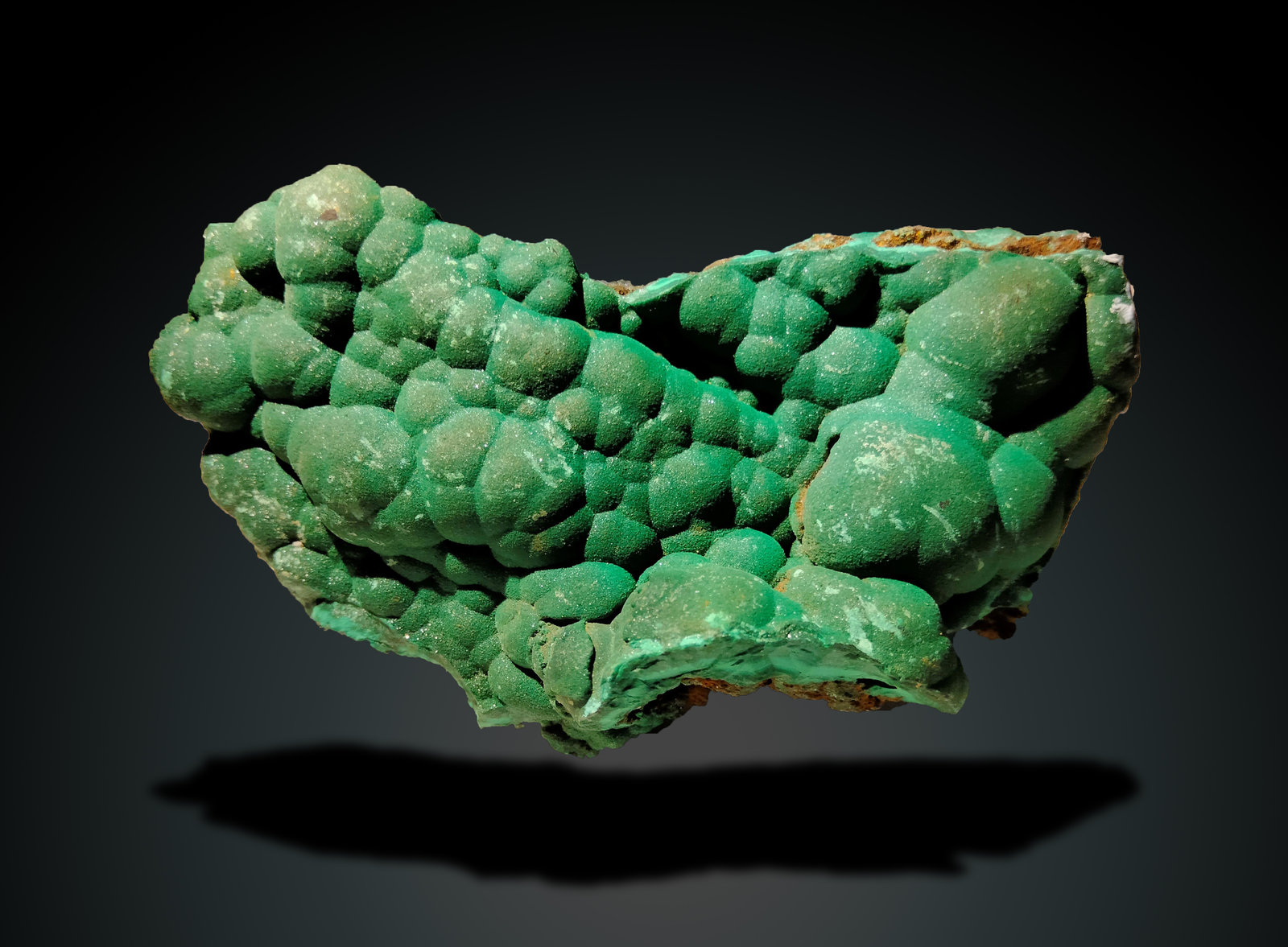 Malachite
74 mm x 43 mm x 36 mm
(Autor: Firmo Espinar)