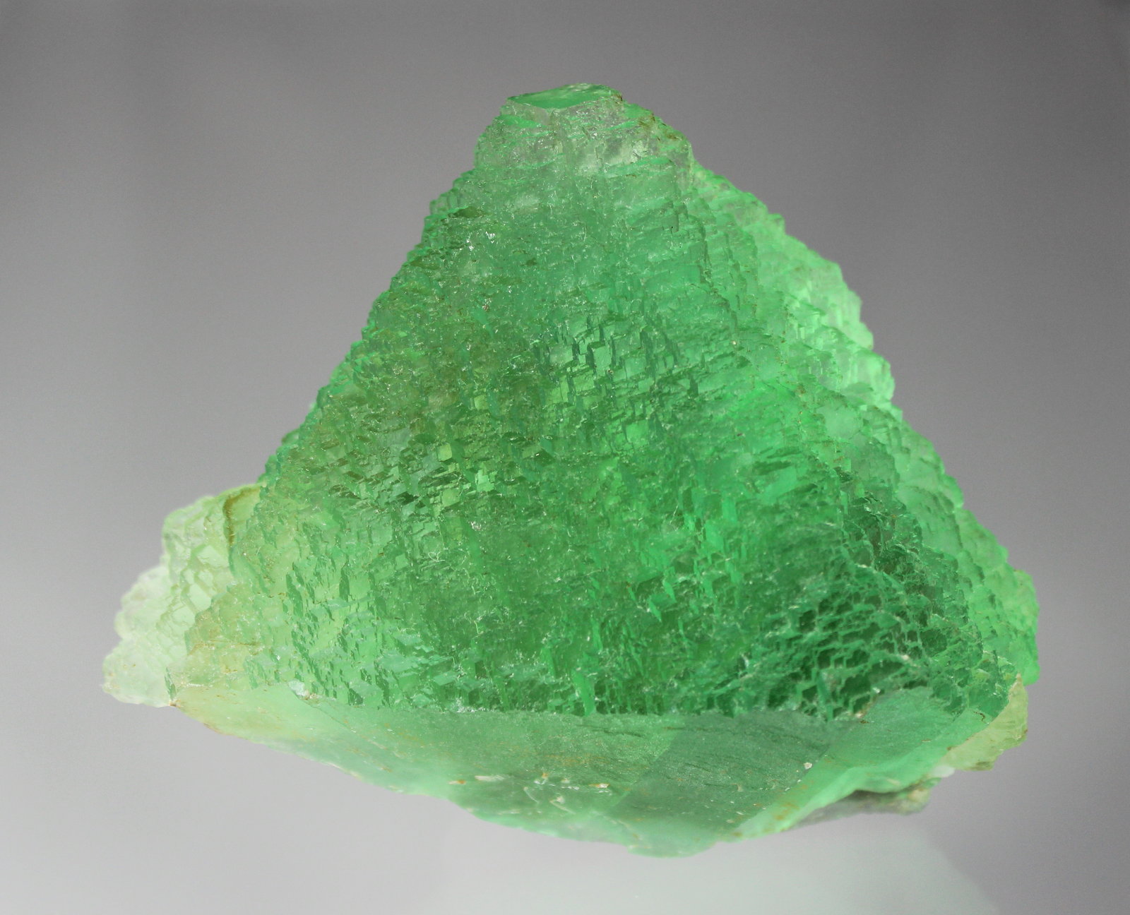 Fluorite, Quartz
144mm x 113mm x 84mm
(Autor: Don Lum)