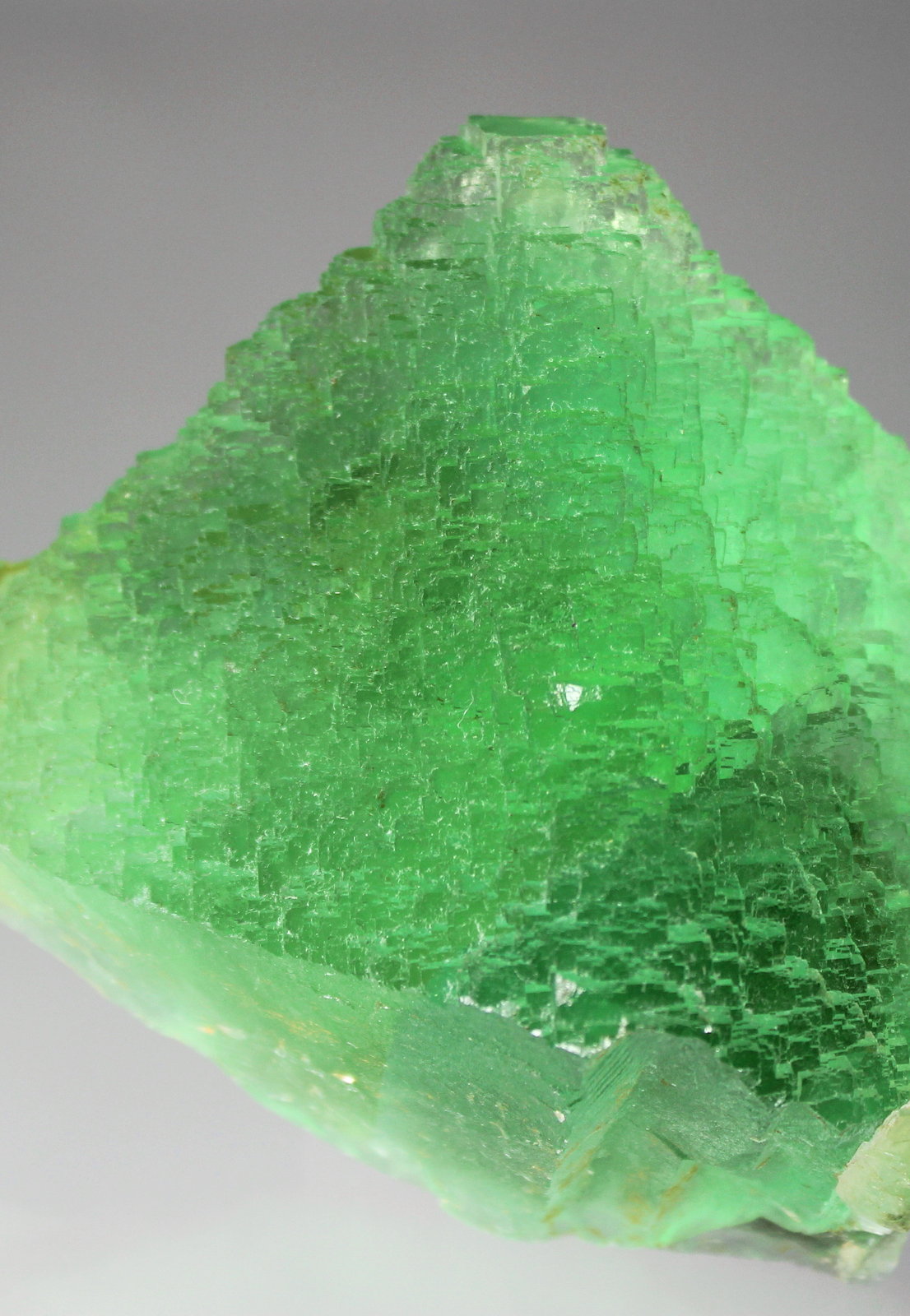 Fluorite, Quartz
144mm x 113mm x 84mm
(Autor: Don Lum)