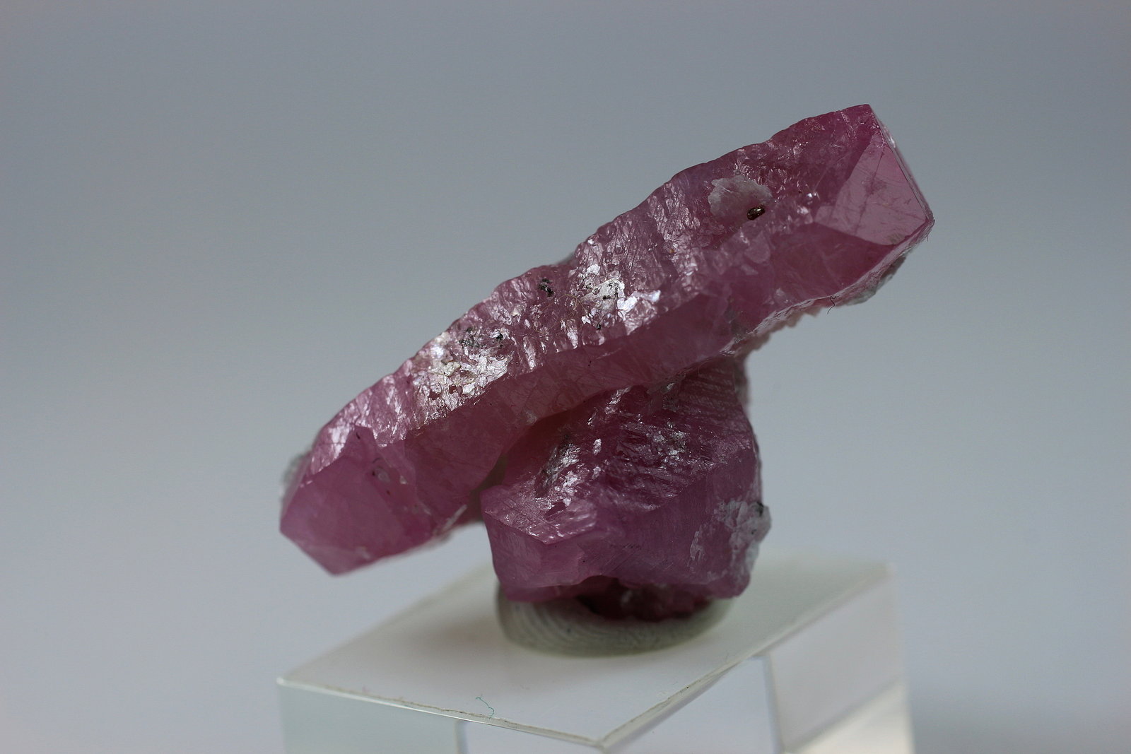Corundum (variety ruby)
2.8 x 1.5 x 1 centimeters
(Autor: Ricardo Melendez)