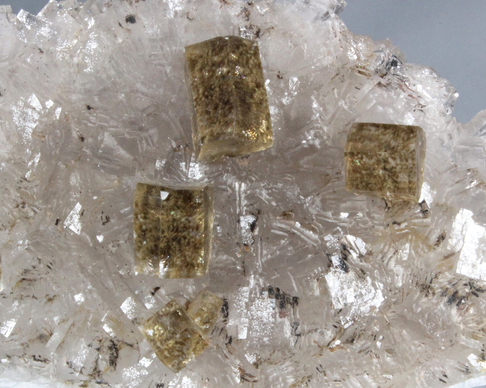 Calcite, Fluorite
132mm x 67mm x 50mm
(Autor: Don Lum)