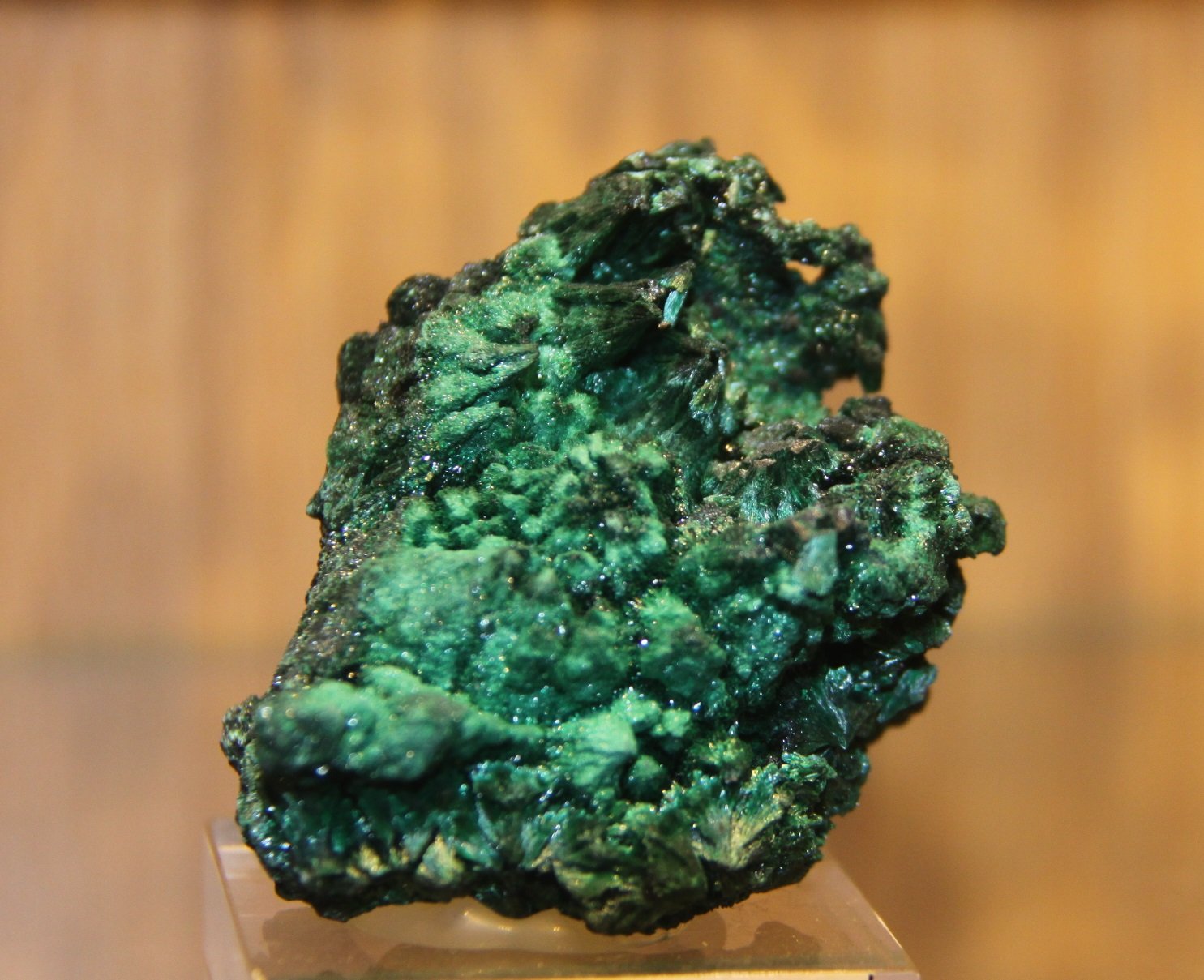 Malachite
47 mm x 52 mm x 34 mm
(Autor: Firmo Espinar)
