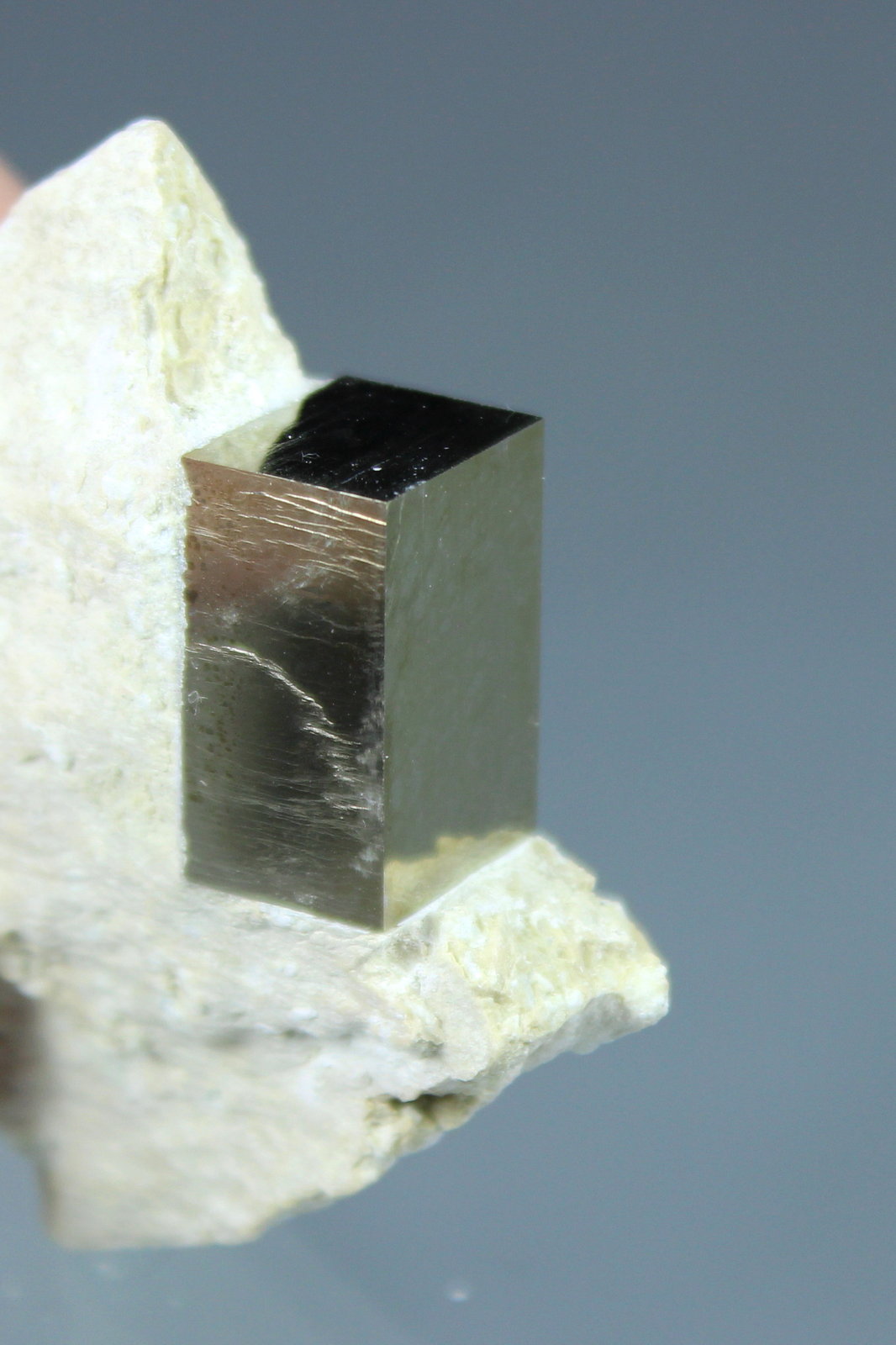 Pyrite
54mm x 18mm x 61mm
(Autor: Don Lum)