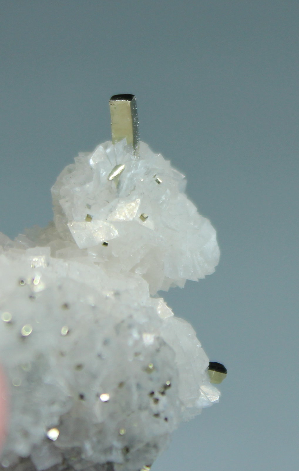 Pyrite, Calcite, Dolomite
35mm x 35mm x 47mm
(Autor: Don Lum)