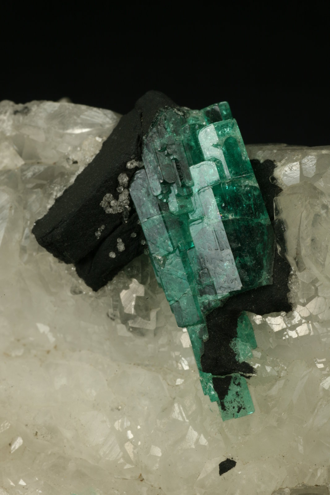 Beryl (variety emerald), Calcite
60x45x28mm
(Autor: Fiebre Verde)