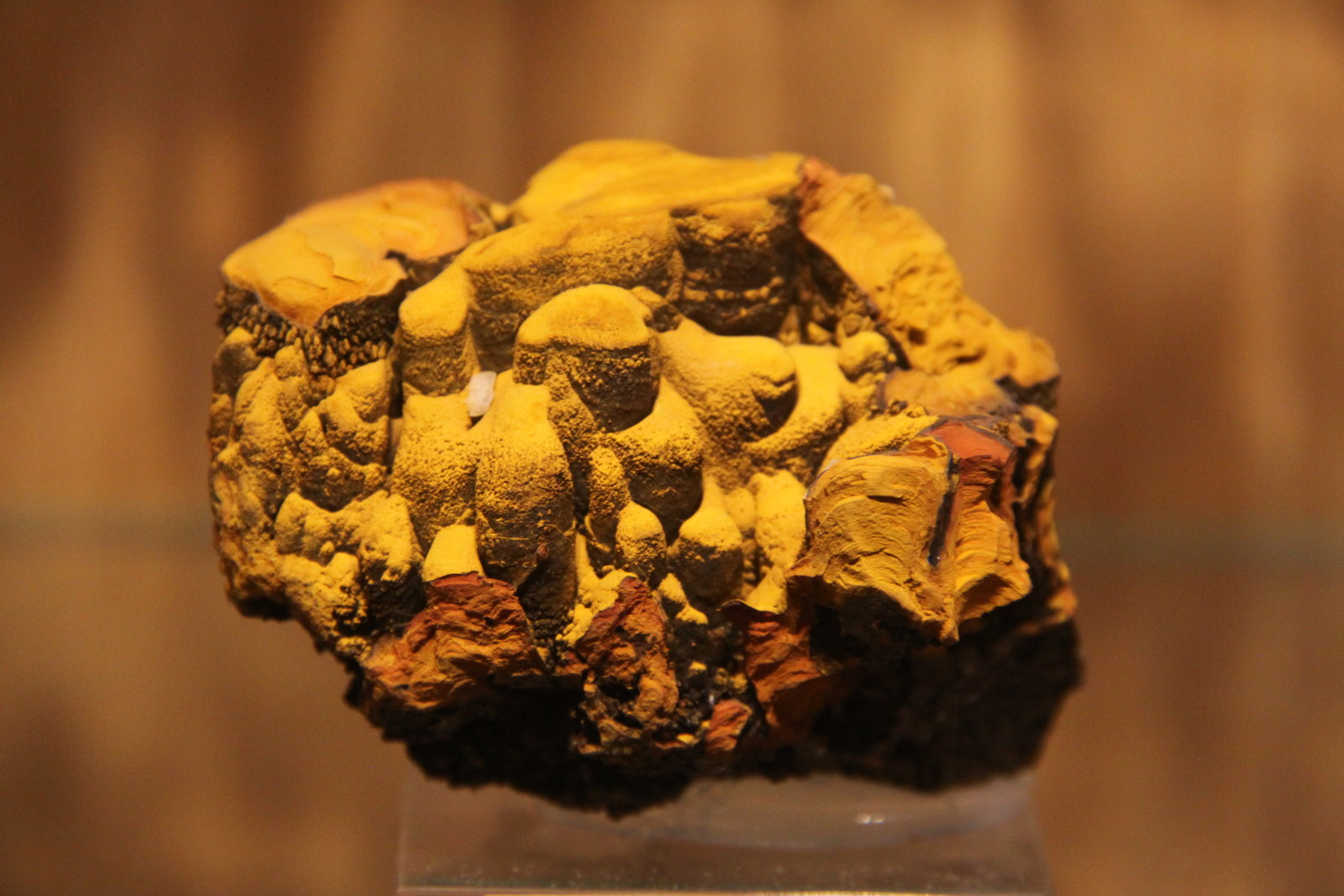 limonite
64mm x 55mm x 52mm
(Autor: Firmo Espinar)