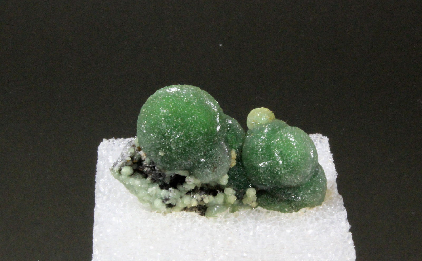 Wavellite
47mm x 23mm x 25mm
(Autor: Don Lum)