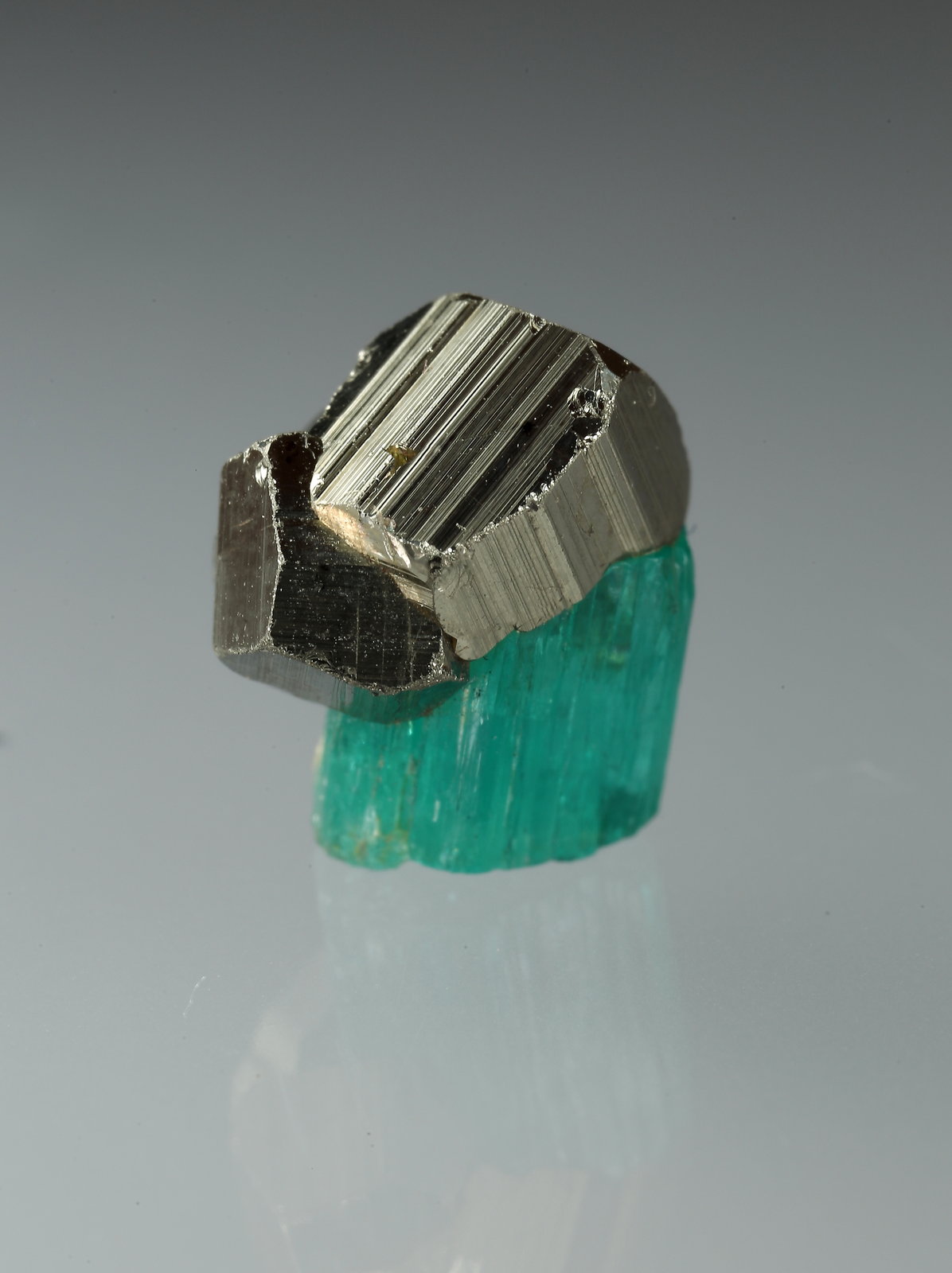 Beryl (variety emerald), Pyrite
xl=7mm
(Autor: Fiebre Verde)