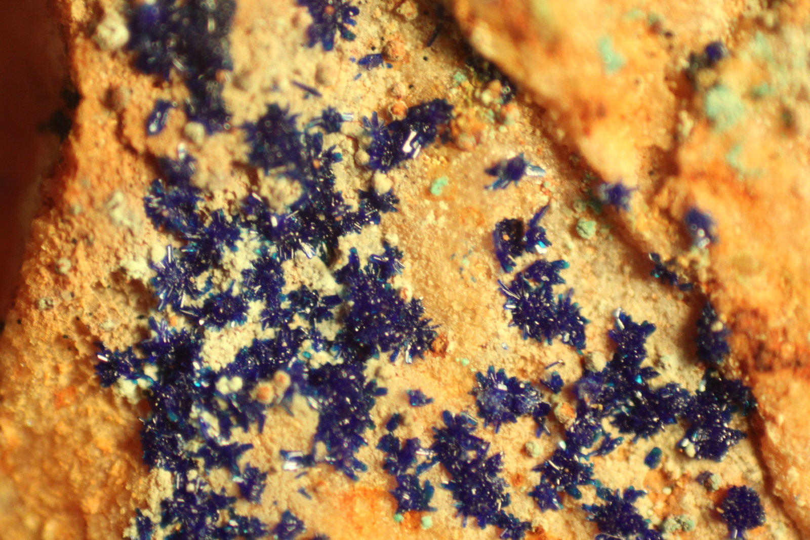 Azurite
FOV = 29 mm.
(Autor: Firmo Espinar)
