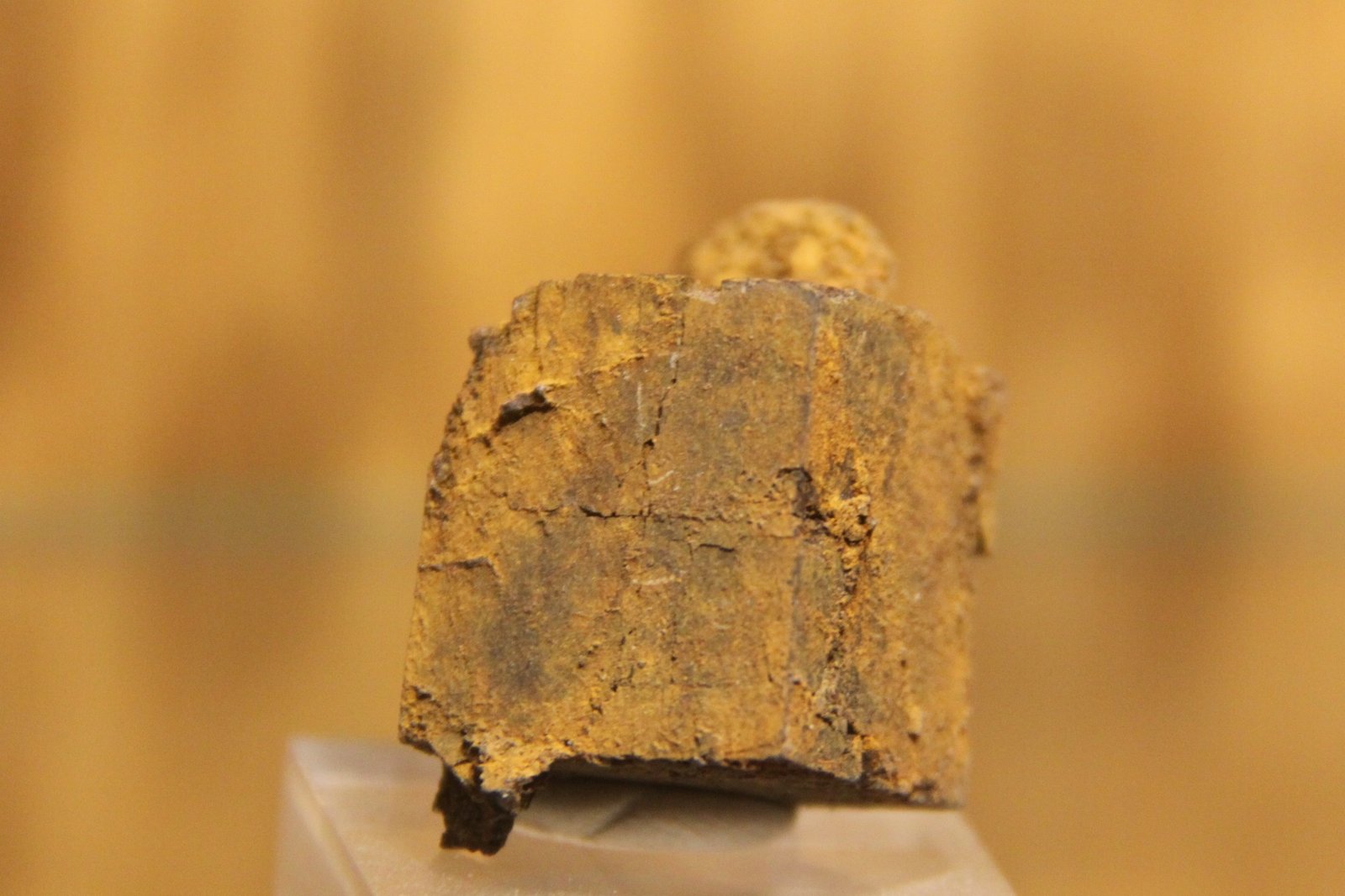 limonite after Pyrite
23 mm x 27 mm x 22mm
(Autor: Firmo Espinar)