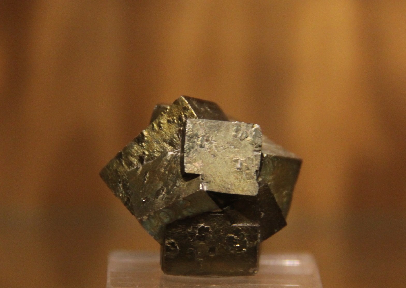 Pyrite
28mm x 29mm x 31mm
(Autor: Firmo Espinar)