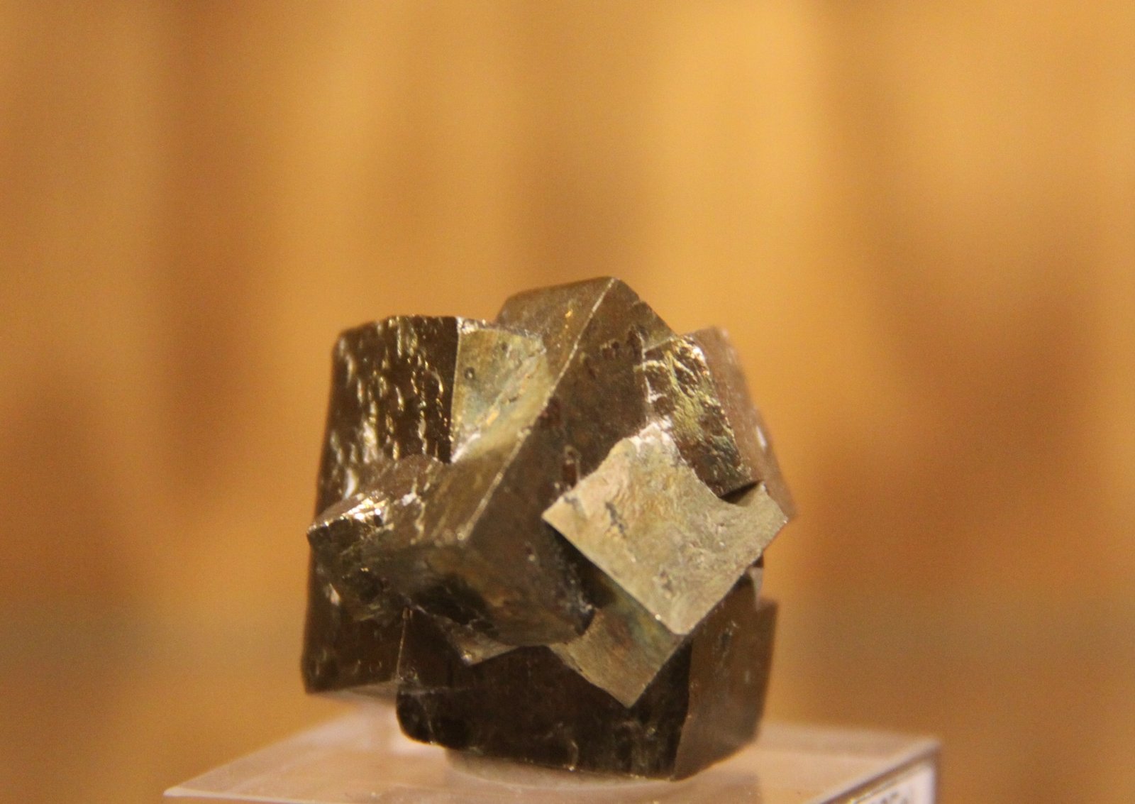 Pyrite
28mm x 29mm x 31mm
(Autor: Firmo Espinar)