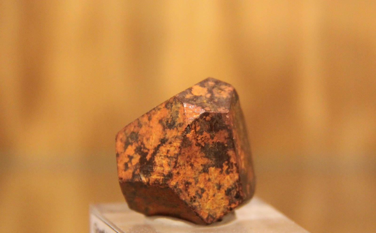 Goethite after Pyrite
27mm x 29mm x 22mm
(Autor: Firmo Espinar)