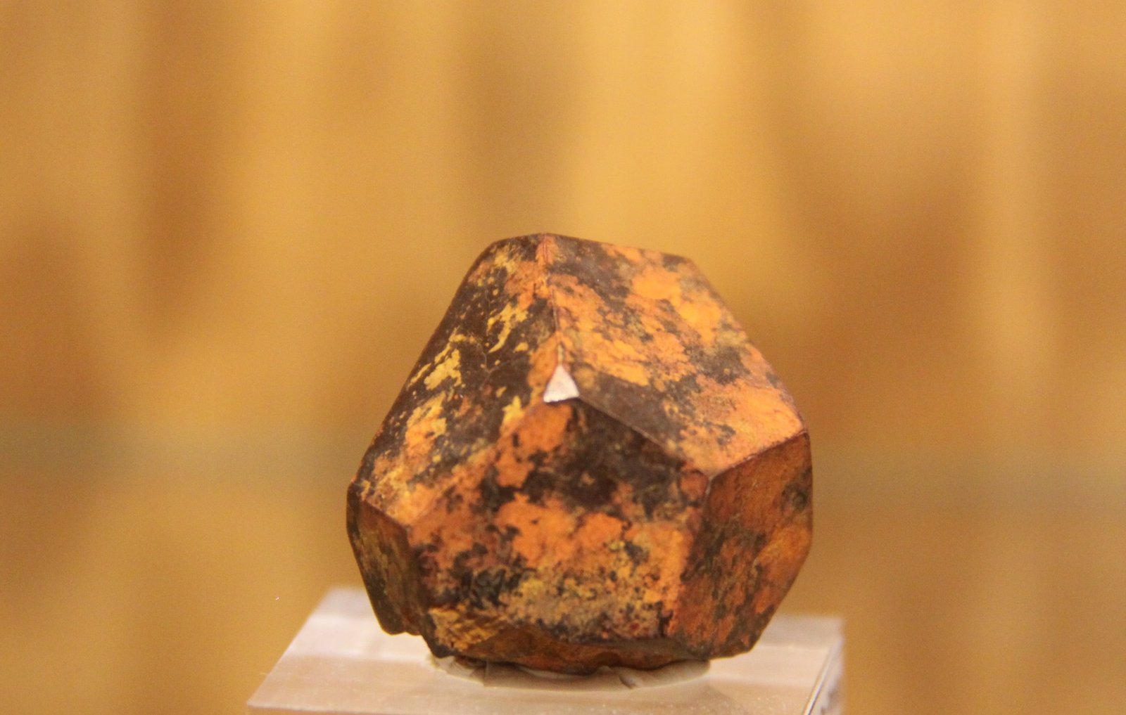 Goethite after Pyrite
27mm x 29mm x 22mm
(Autor: Firmo Espinar)