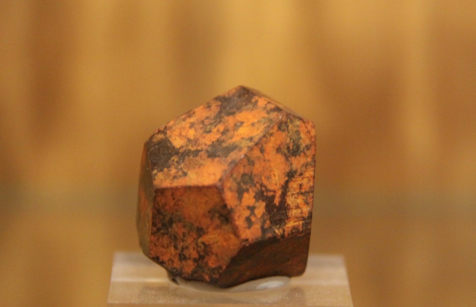 Goethite after Pyrite
27mm x 29mm x 22mm
(Autor: Firmo Espinar)