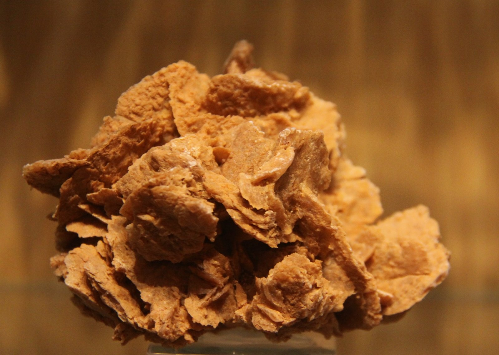 Gypsum
10cm x 8cm x 8cm
(Autor: Firmo Espinar)