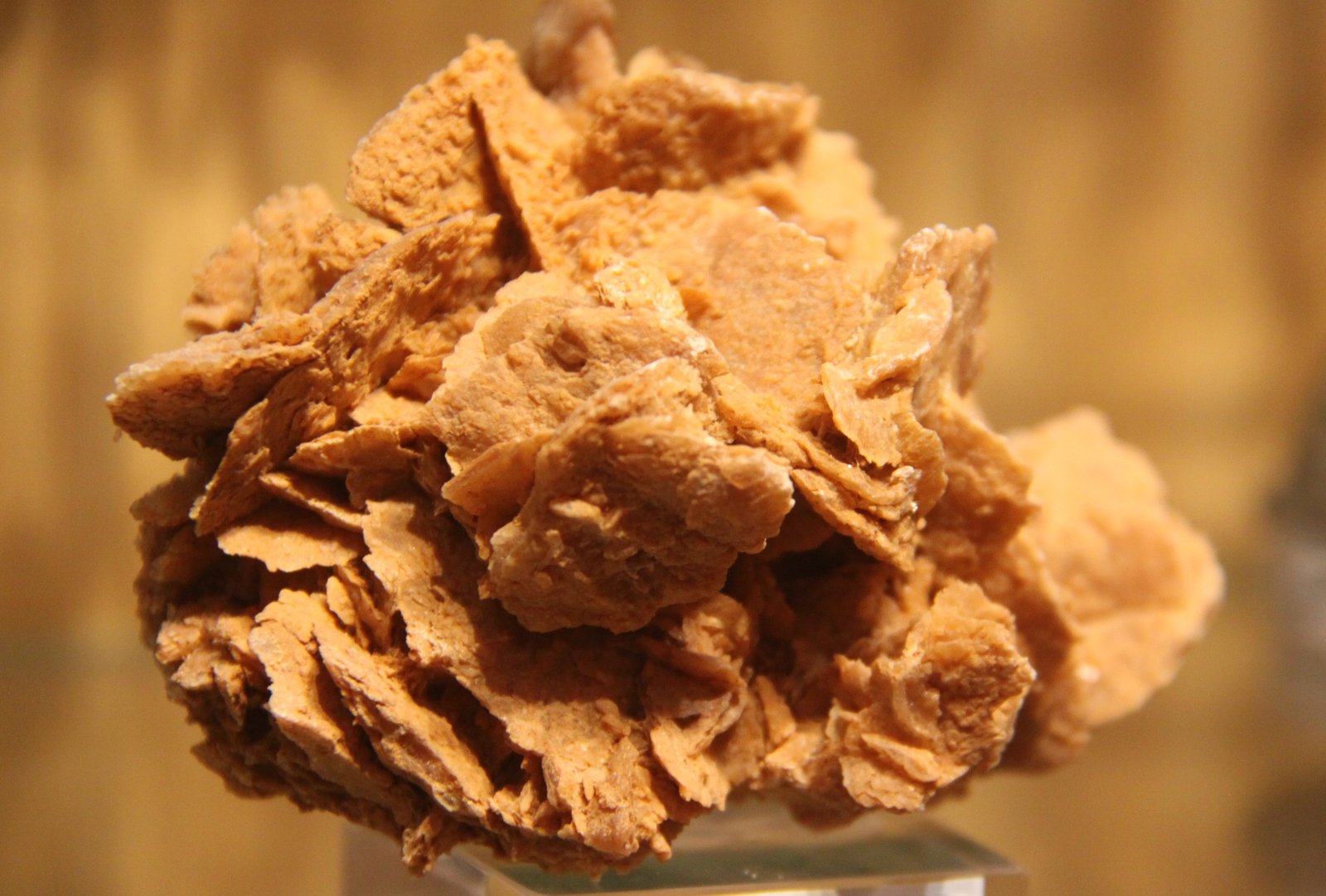 Gypsum
10cm x 8cm x 8cm
(Autor: Firmo Espinar)