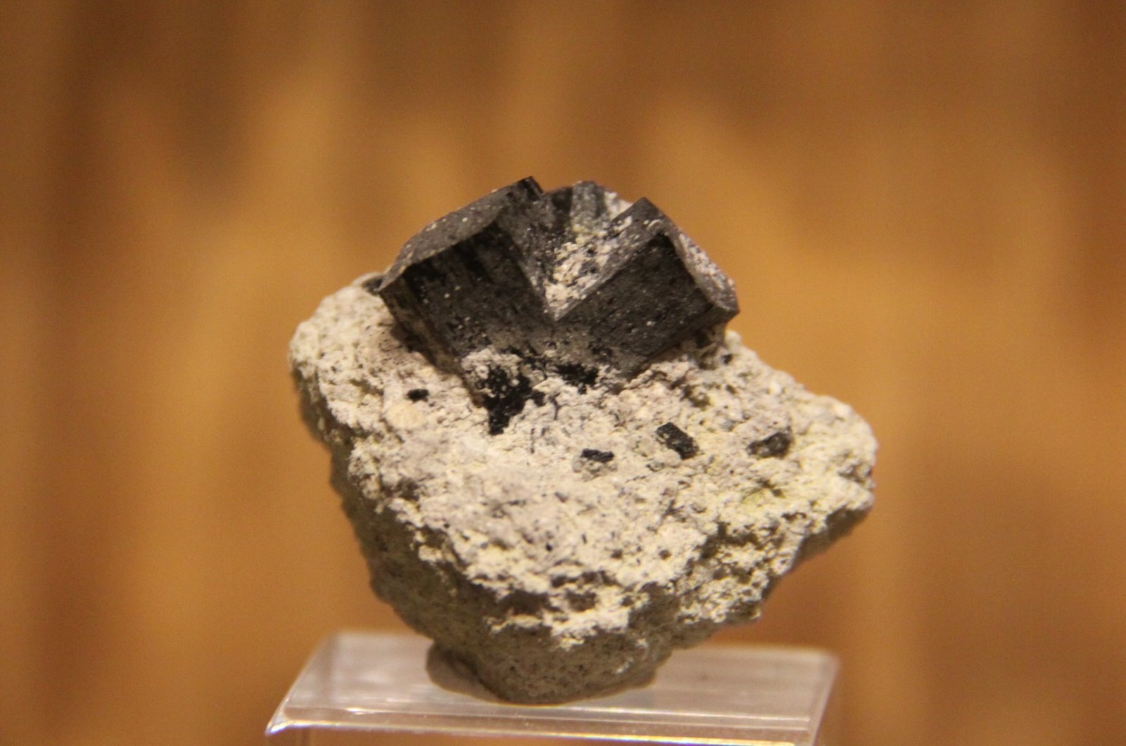 Ferro-hornblende
33mm x 35mm x 32mm
(Autor: Firmo Espinar)