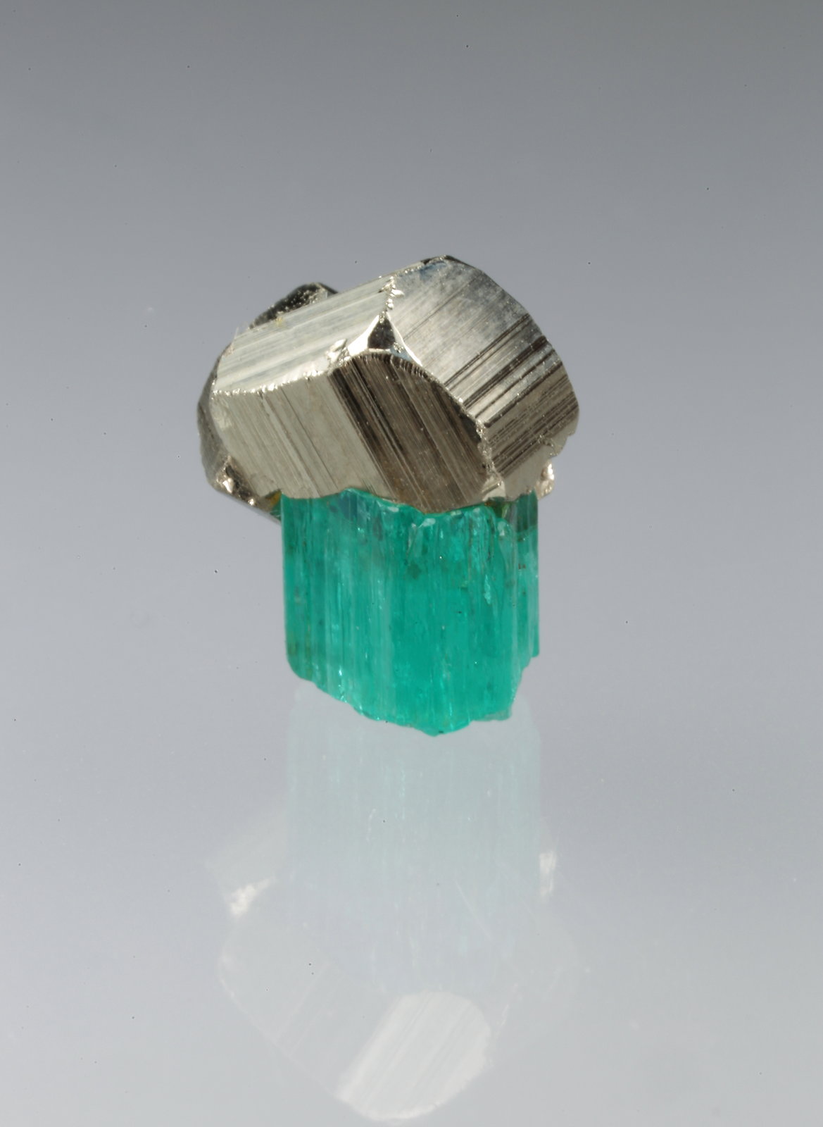 Beryl (variety emerald), Pyrite
xl=7mm
(Autor: Fiebre Verde)