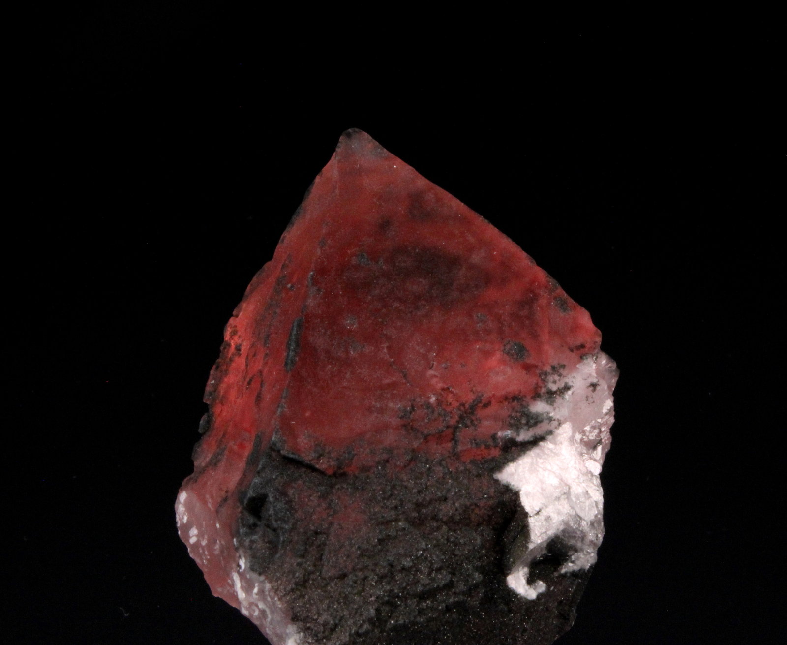 Fluorite
52mm x 41mm x 32mm
(Autor: Don Lum)