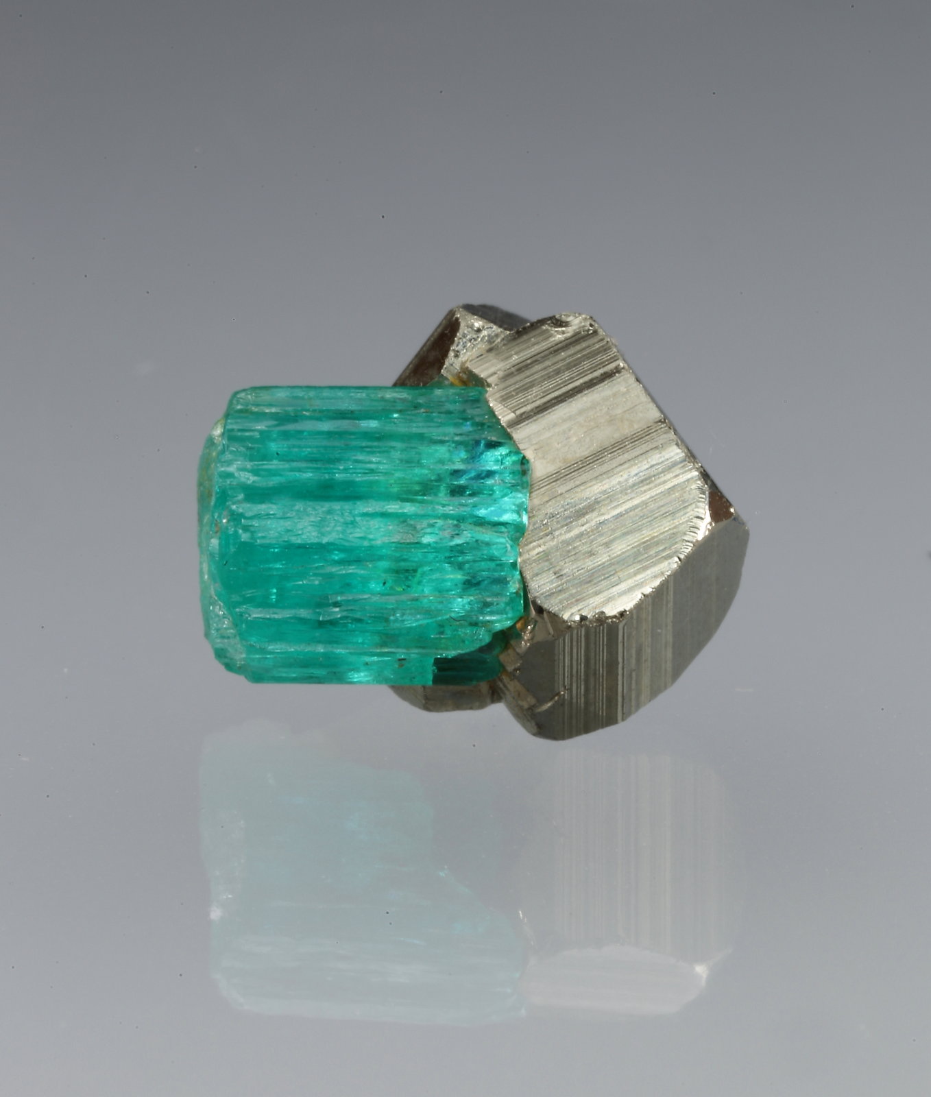 Beryl (variety emerald), Pyrite
xl=7mm
(Autor: Fiebre Verde)
