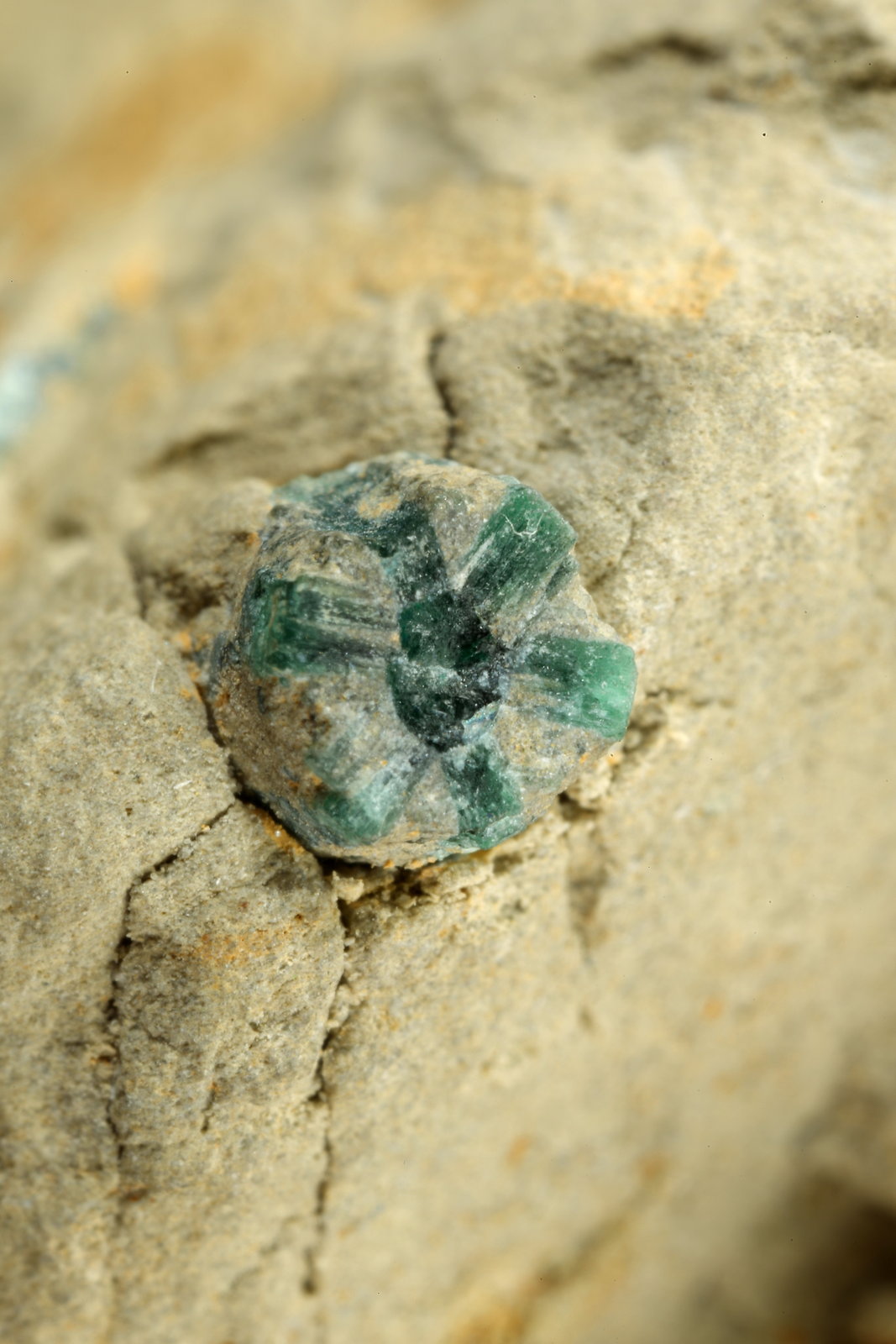 Beryl (variety emerald)
60x42x48mm, longest xl=17mm
(Autor: Fiebre Verde)