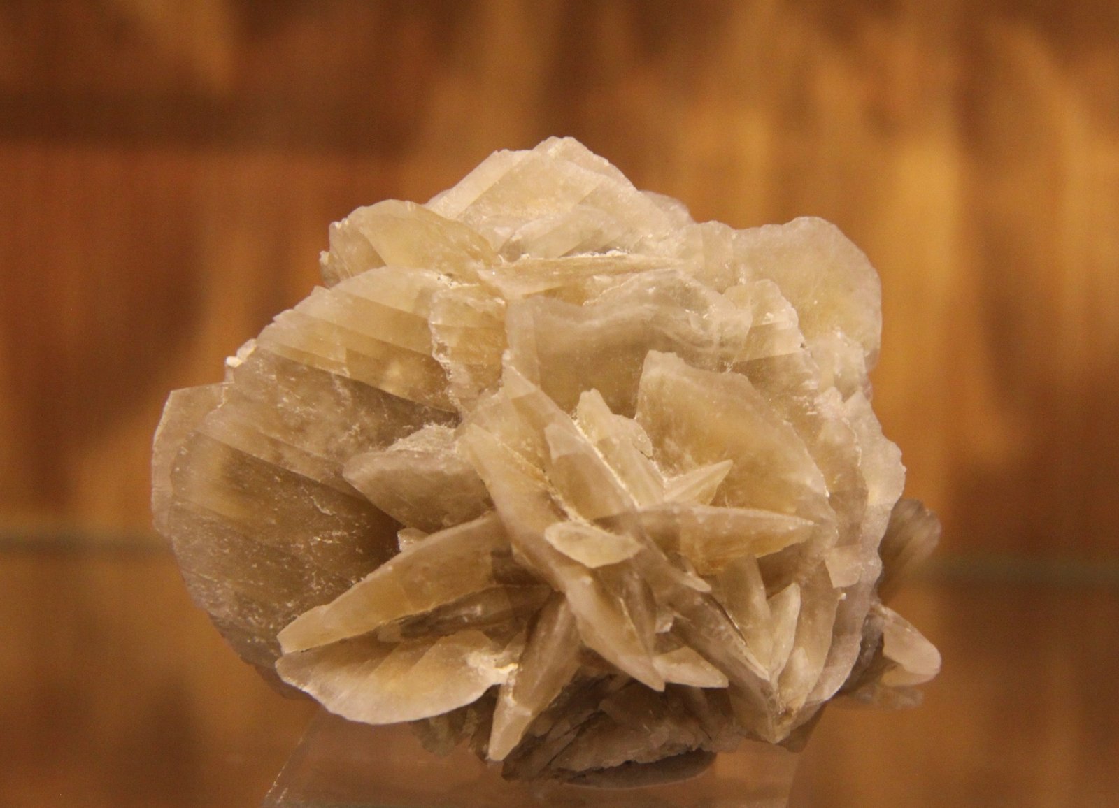 Gypsum
63 mm x 48 mm x 42 mm
(Autor: Firmo Espinar)