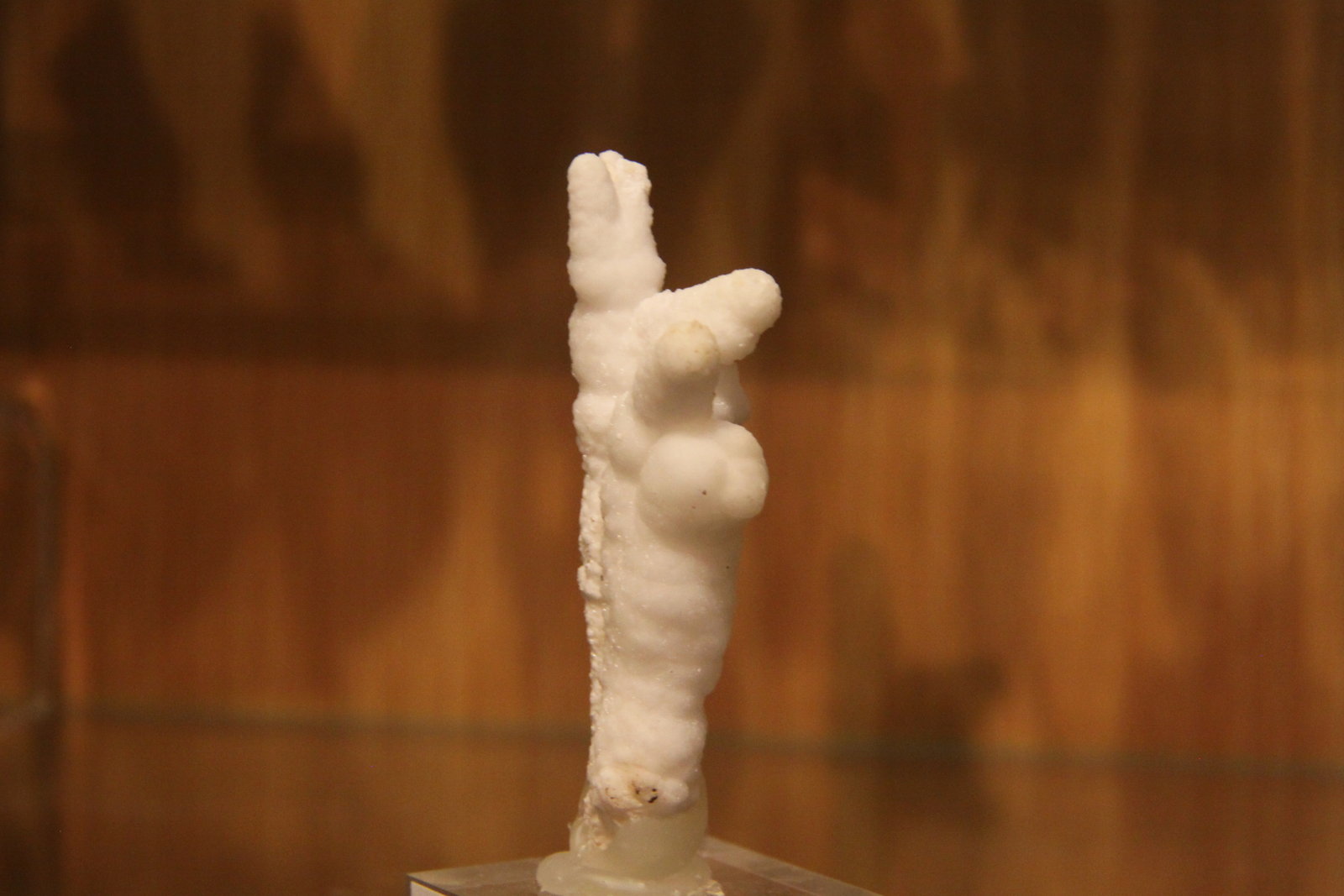Aragonite
26mm x 72mm x 18mm
(Autor: Firmo Espinar)