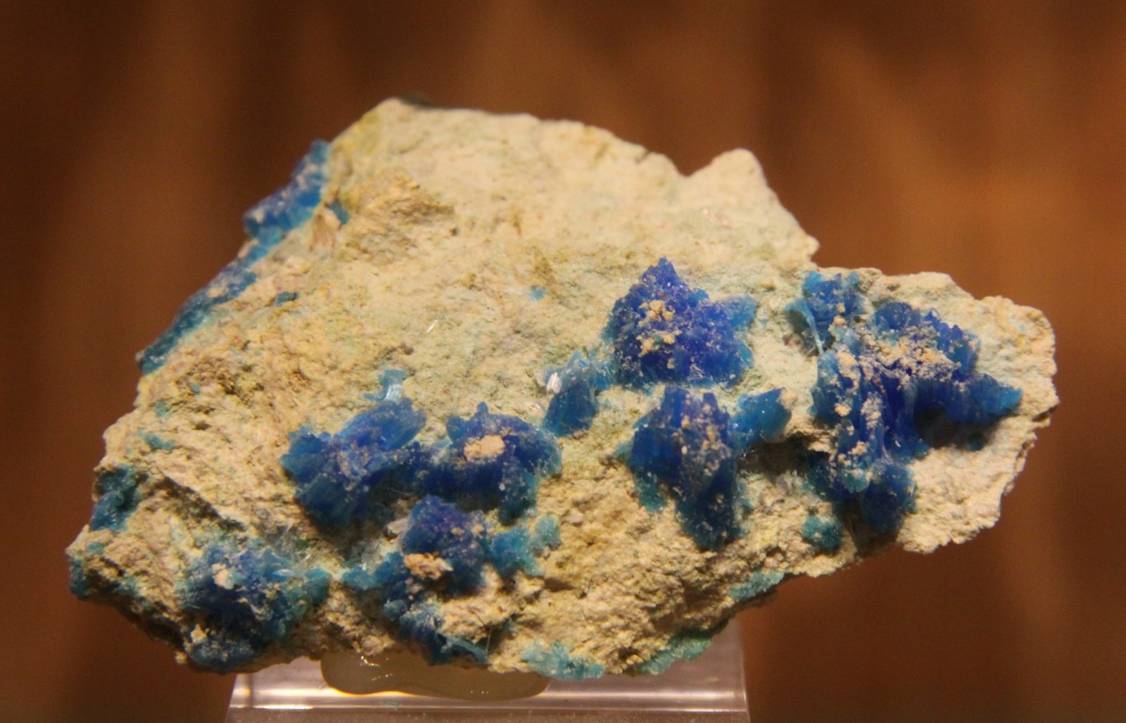 Chalcanthite
53mm x 37mm x 46mm
(Autor: Firmo Espinar)