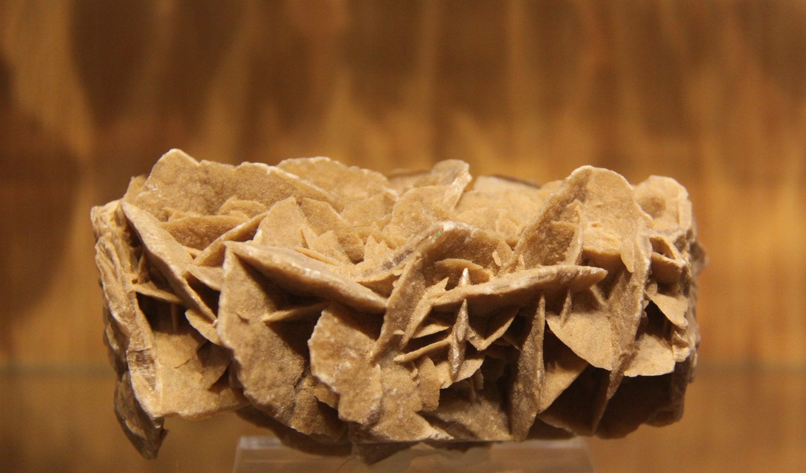 Gypsum
13cm x 6cm x 8cm
(Autor: Firmo Espinar)