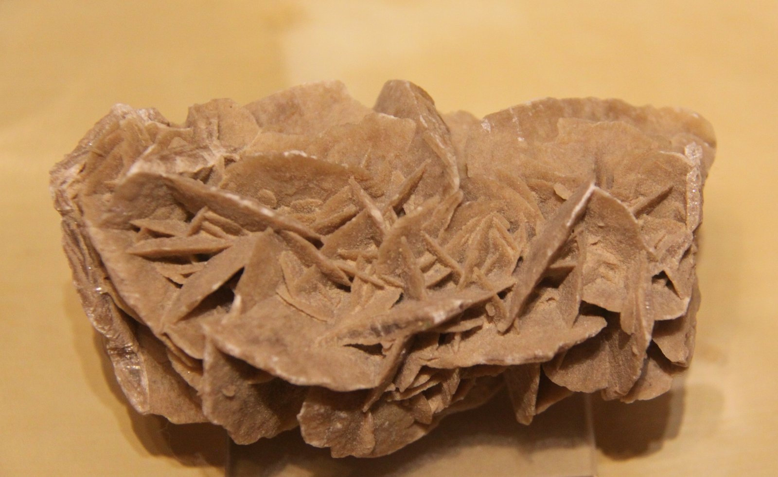 Gypsum
13cm x 6cm x 8cm
(Autor: Firmo Espinar)